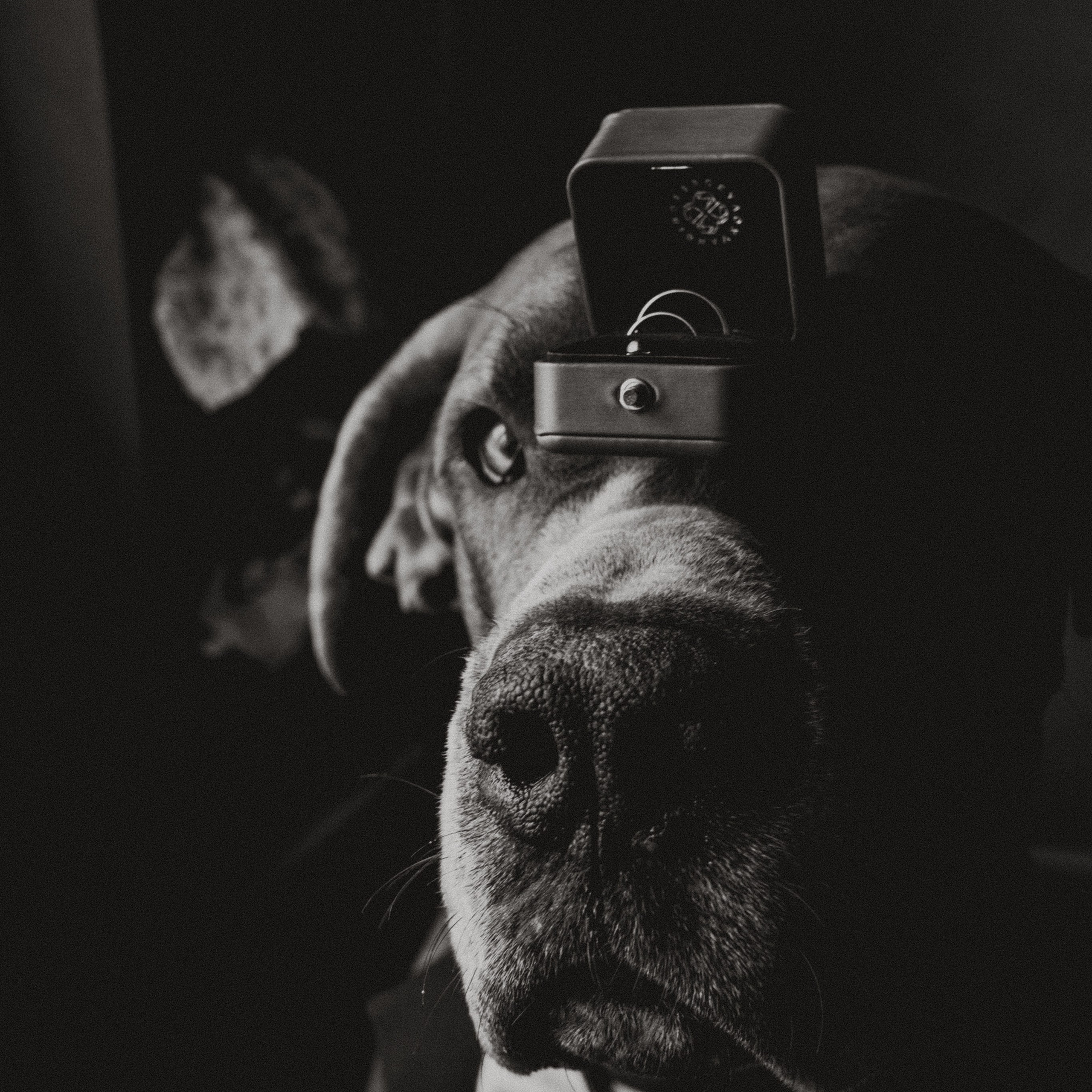 Отзывы. Анастасия Попова — Fashion photographer