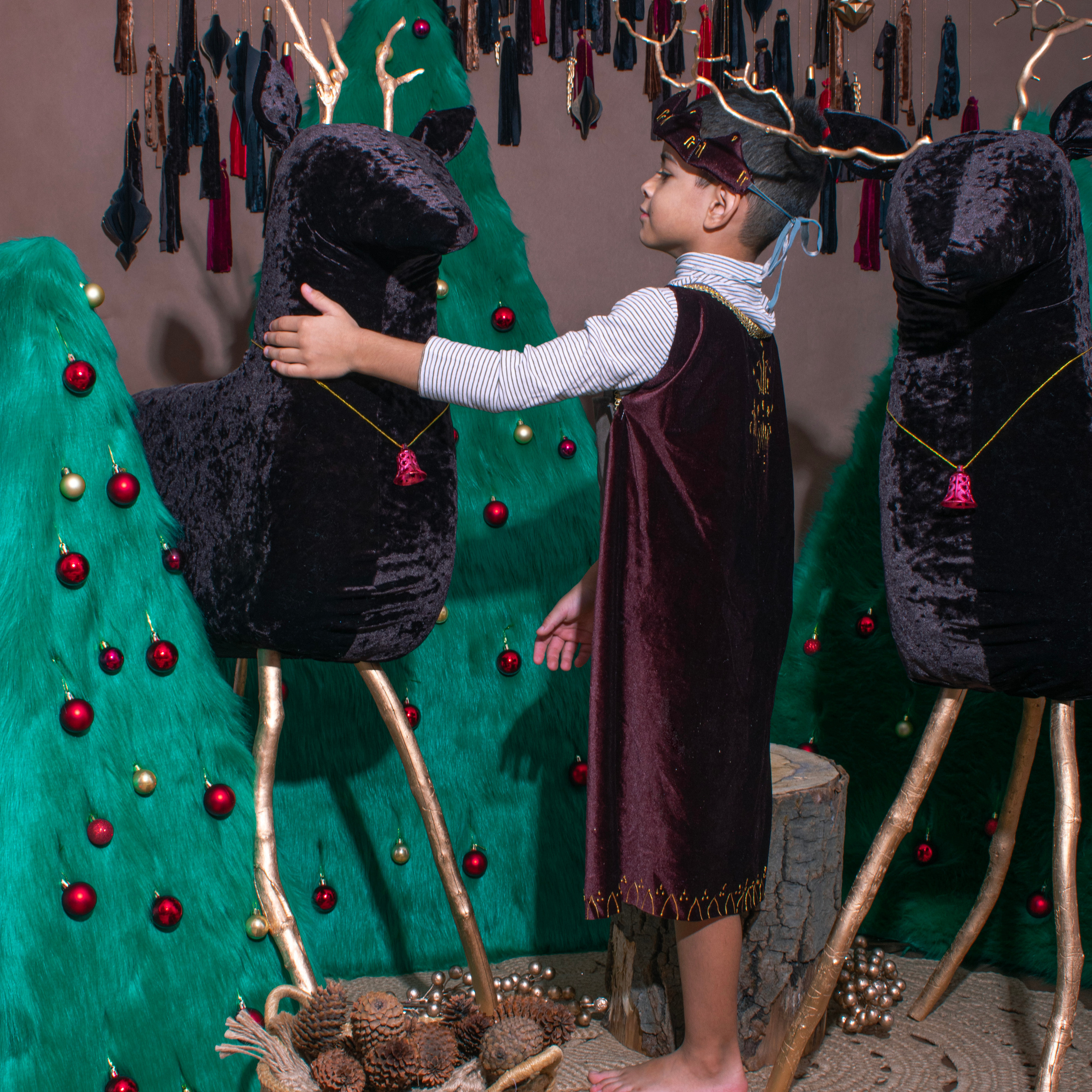 Олени и Ели