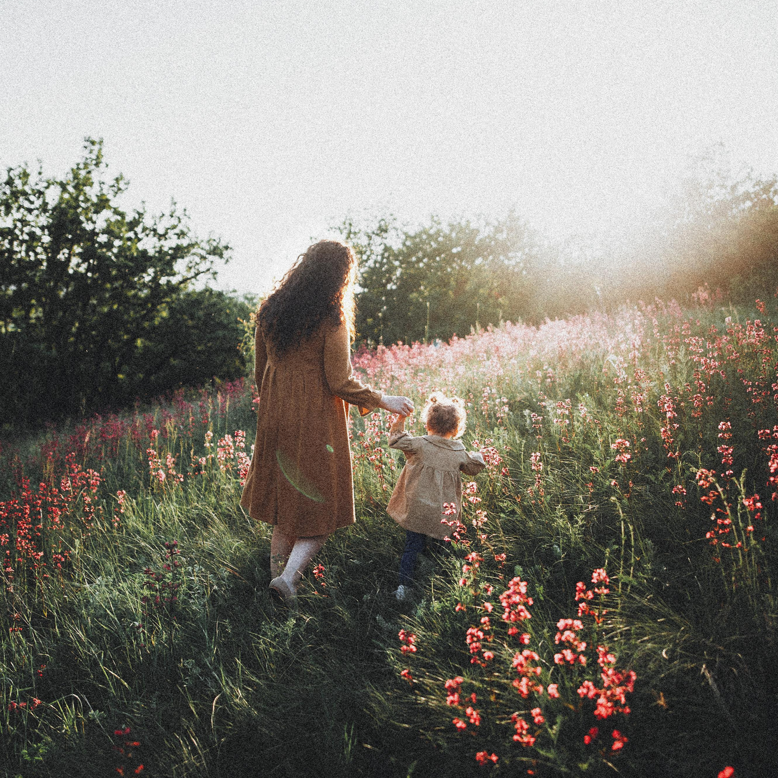 Андреевские пруды.