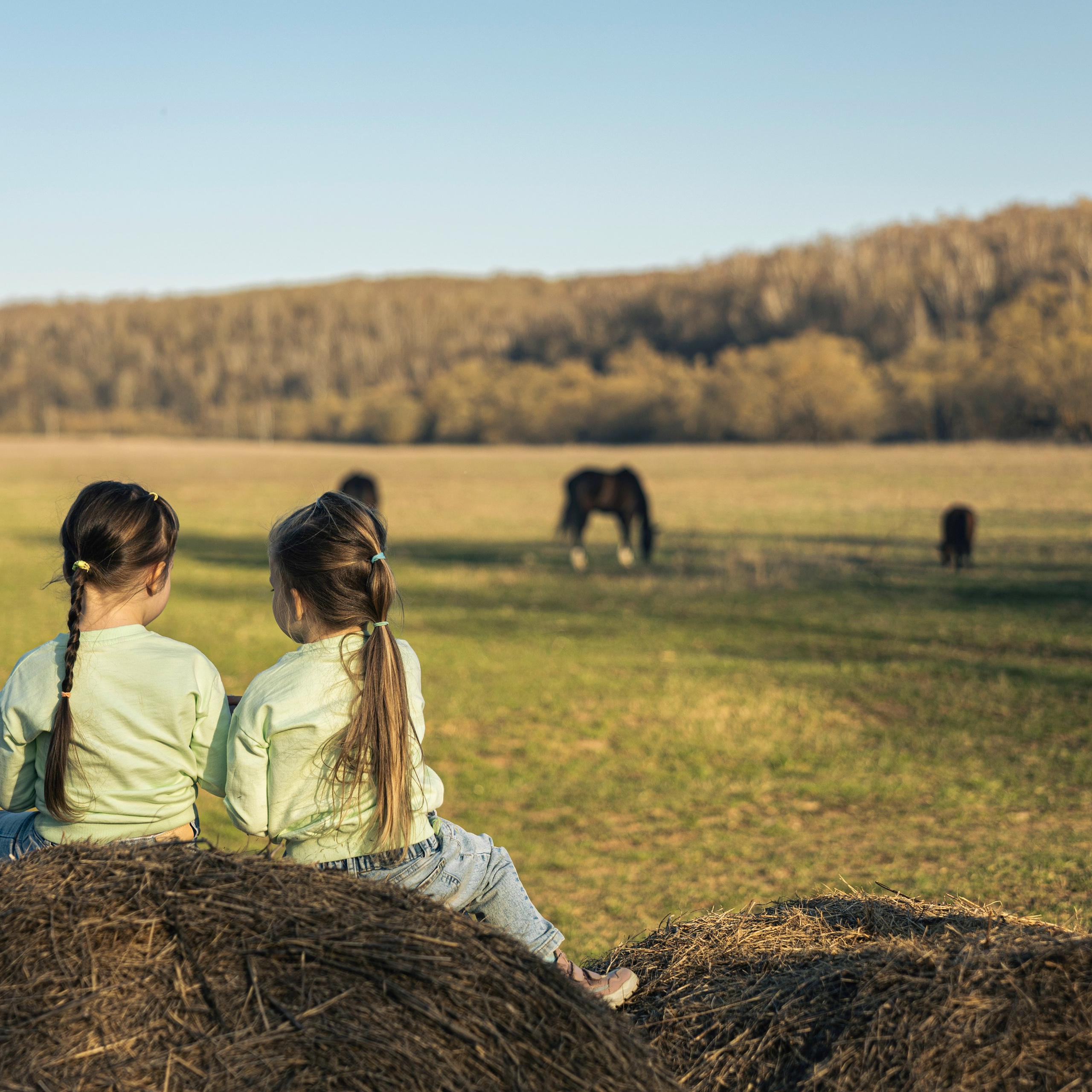 Май, Природа