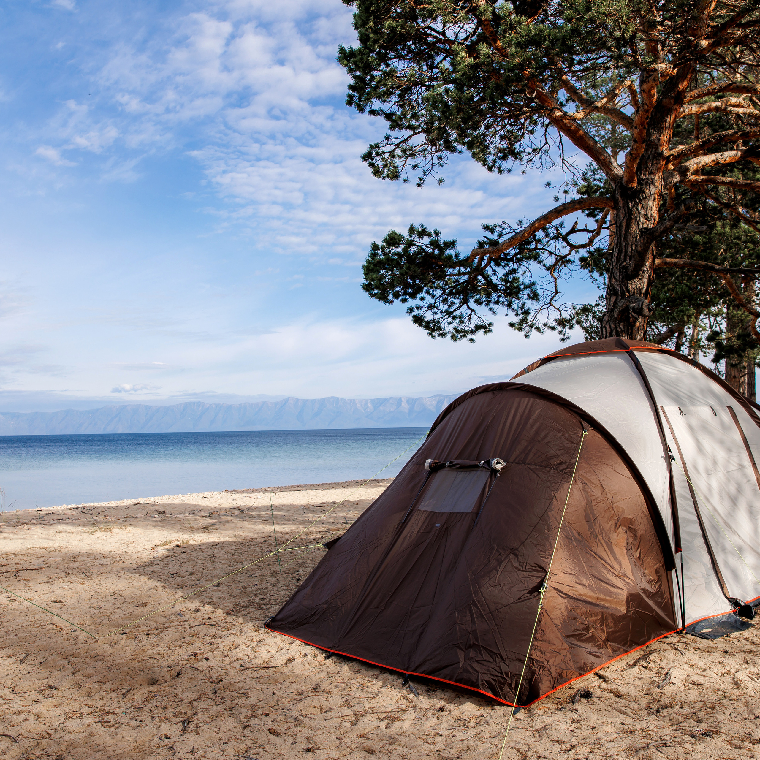 Отзывы. Семейный и репортажный фотограф в Иркутске Людмила Лиханская