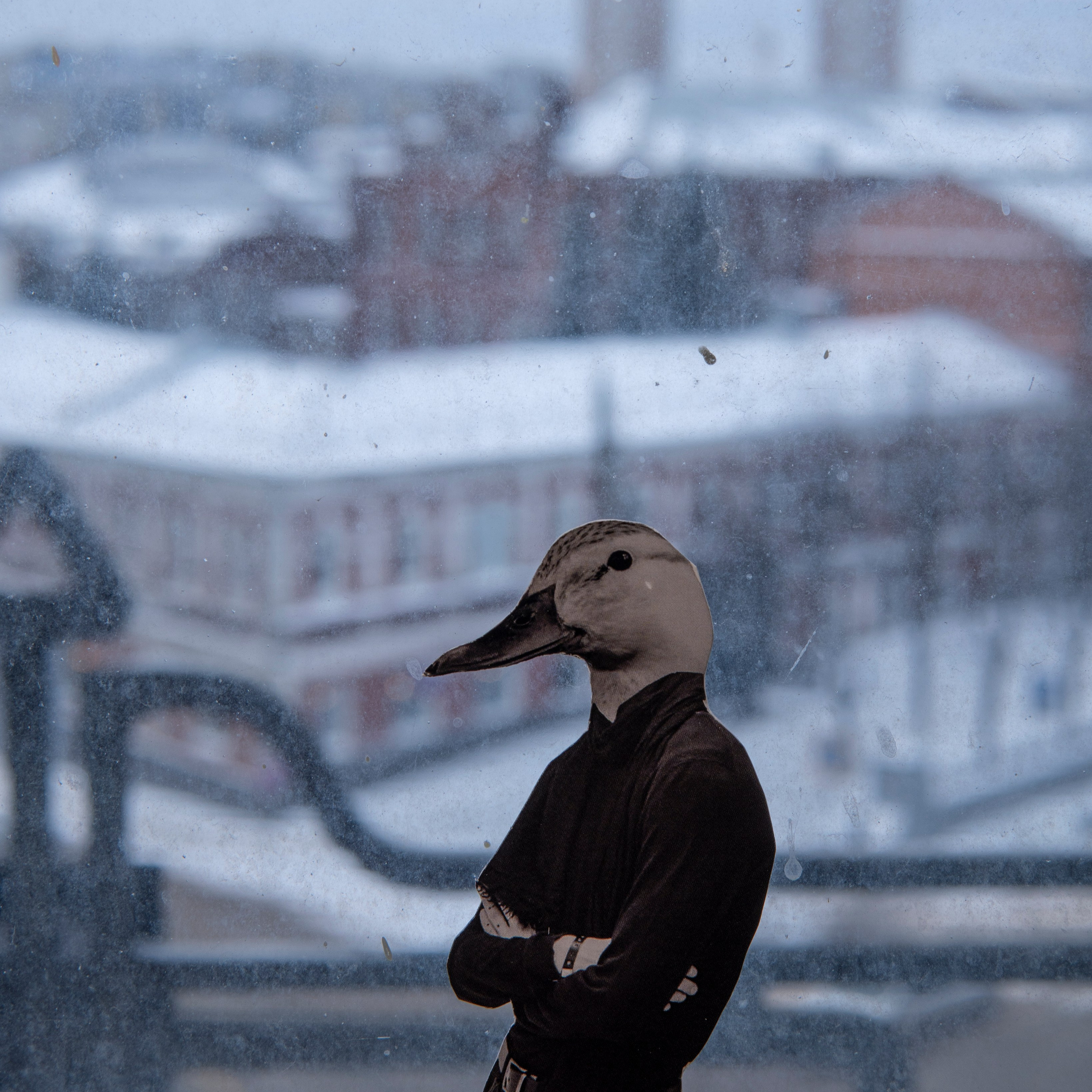 Отзывы нежному фотографу Иваново, Москвы, Ярославля Алле Быковой. Фотограф Алла Быкова