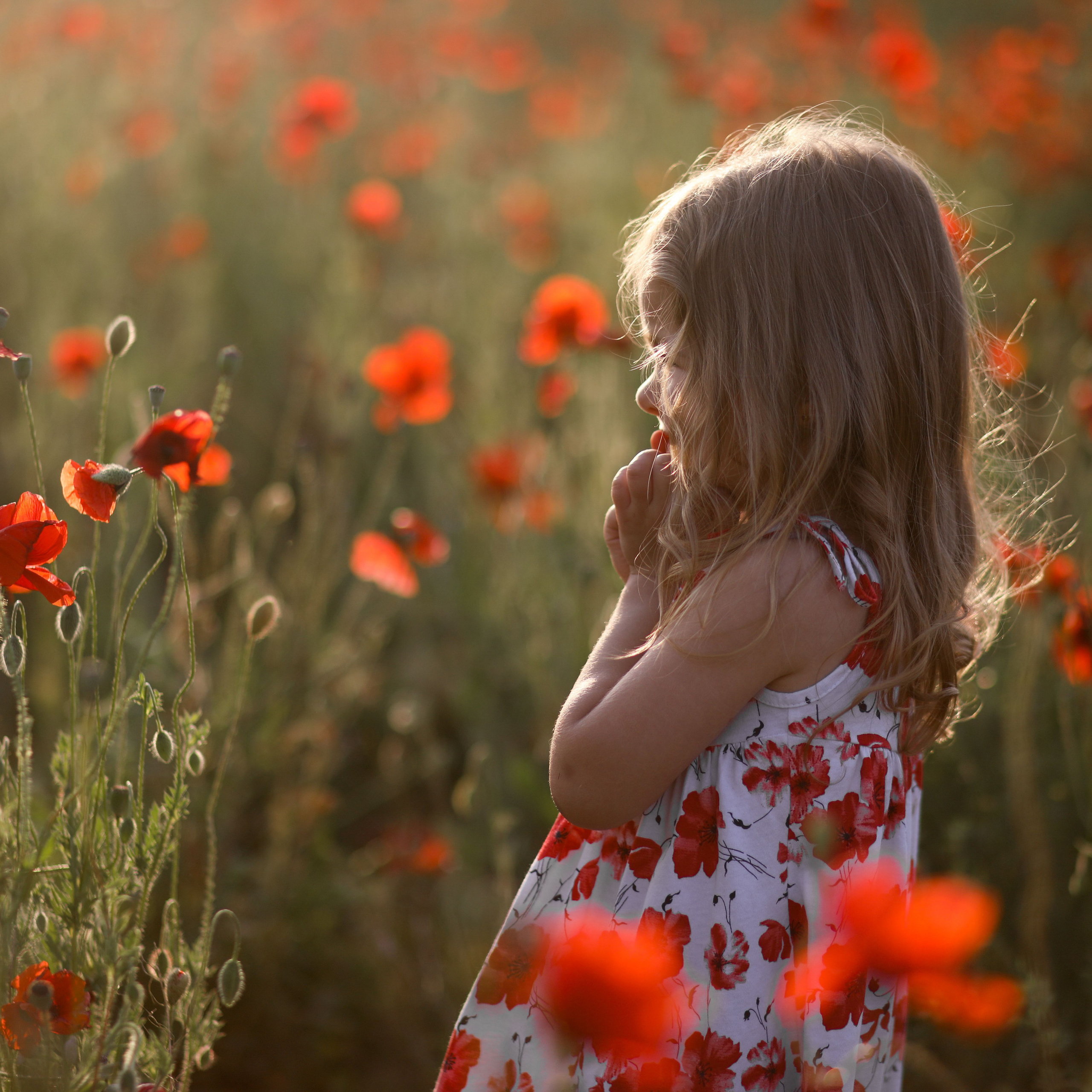 Отзывы. Свадебный и семейный фотограф в Севастополе и Крыму Анастасия Сураева