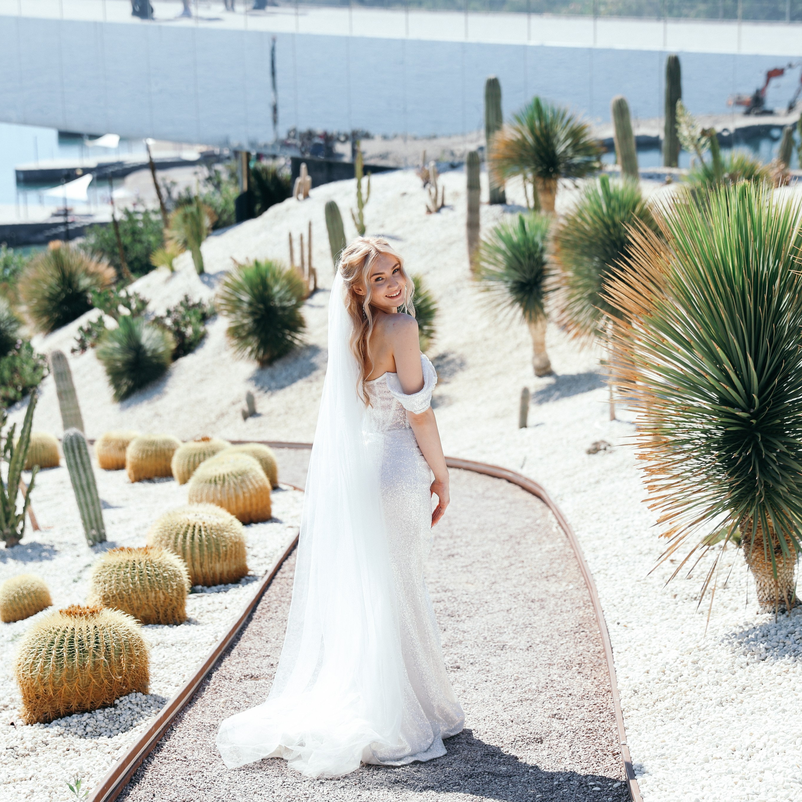 Владимир и Ангелина