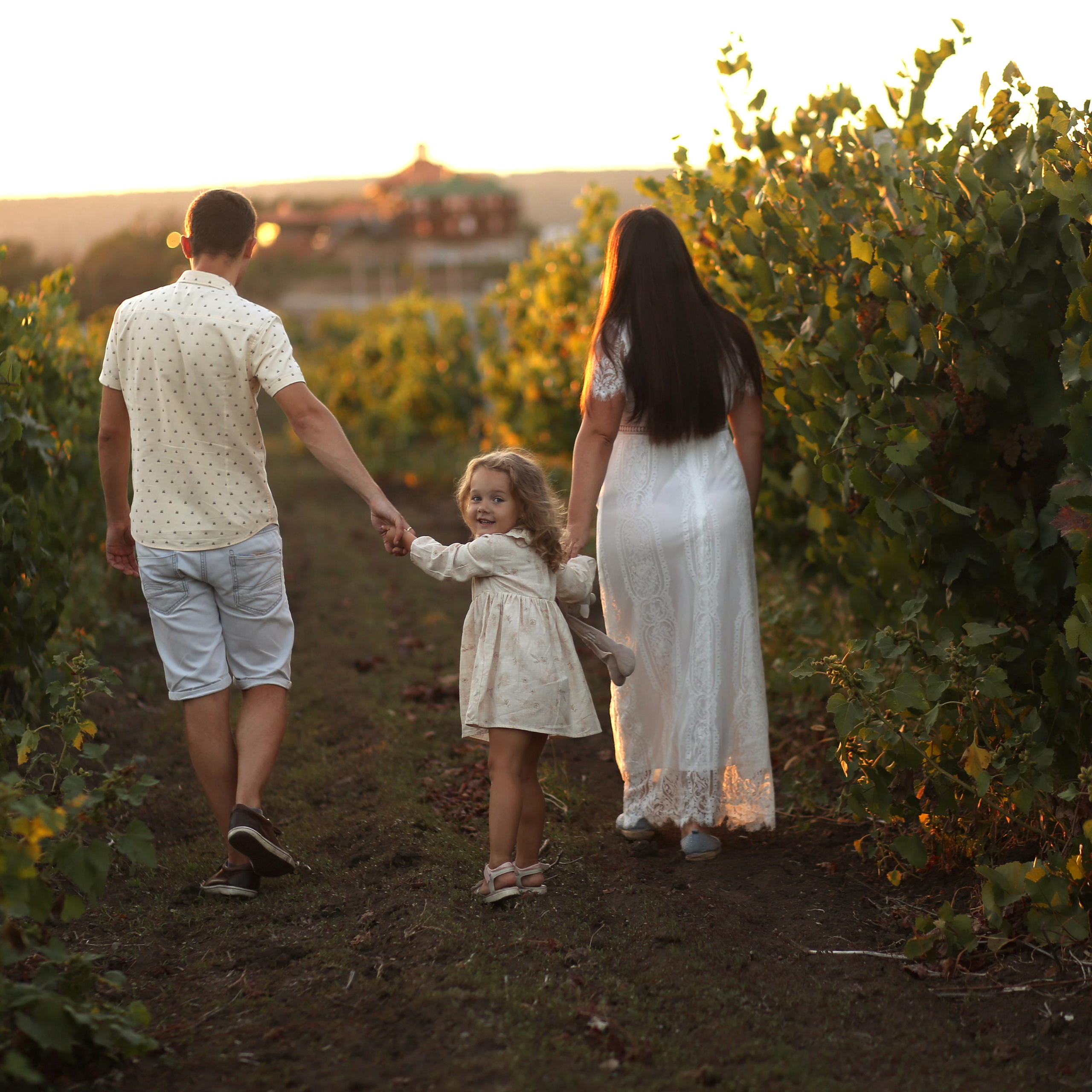 Виноградники Вероника