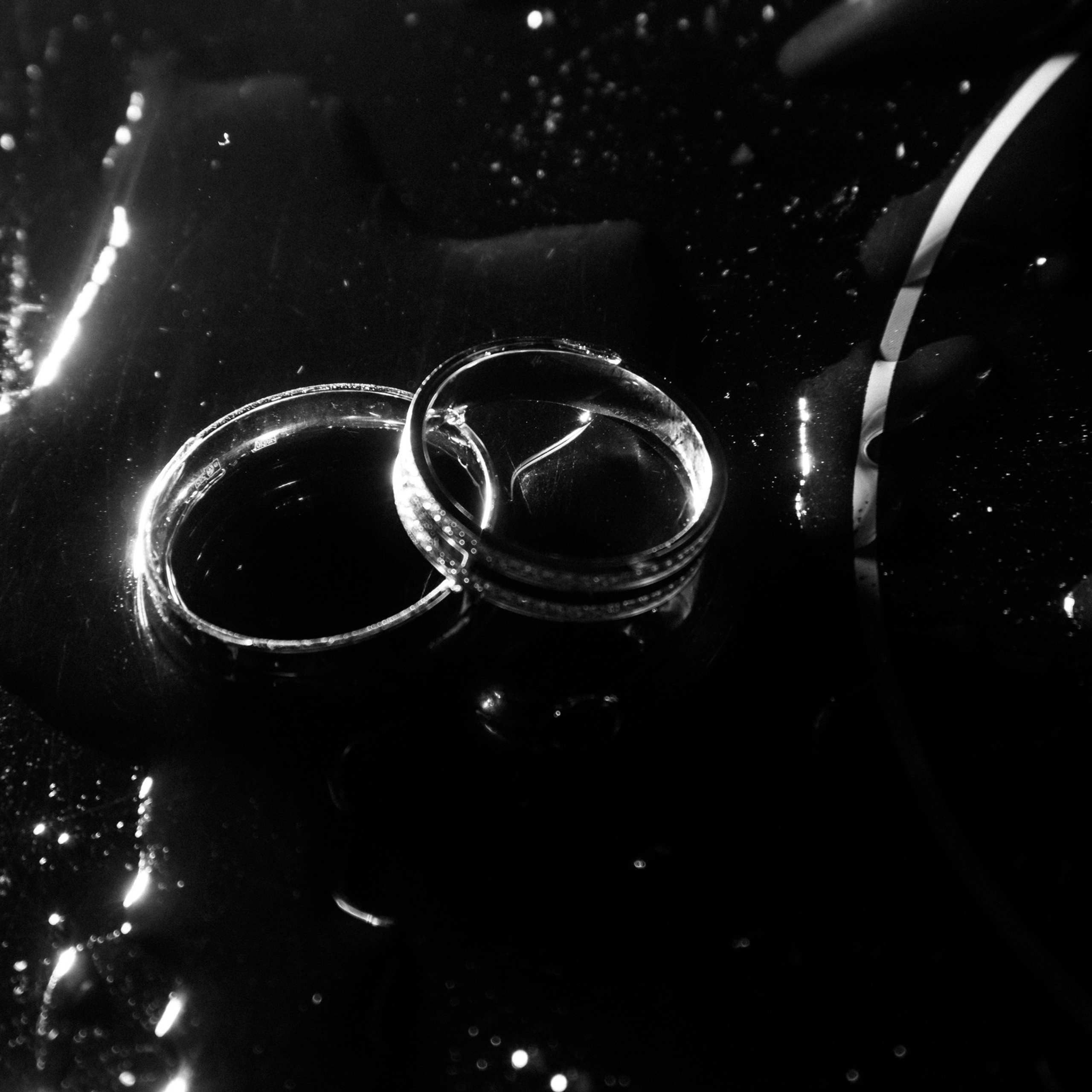 Feedback. Фотограф Максим Мельников