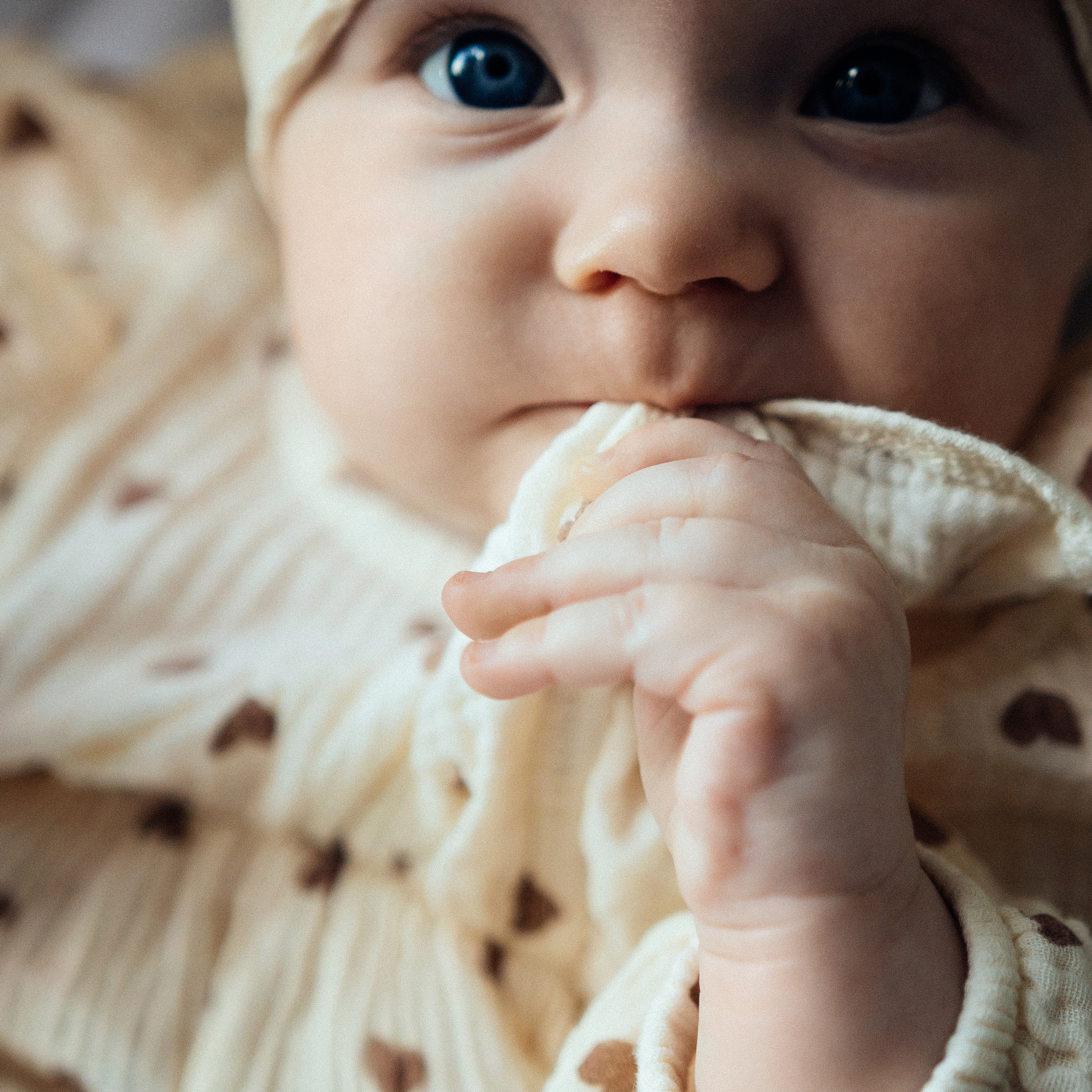 Feedback. Фотограф Максим Мельников