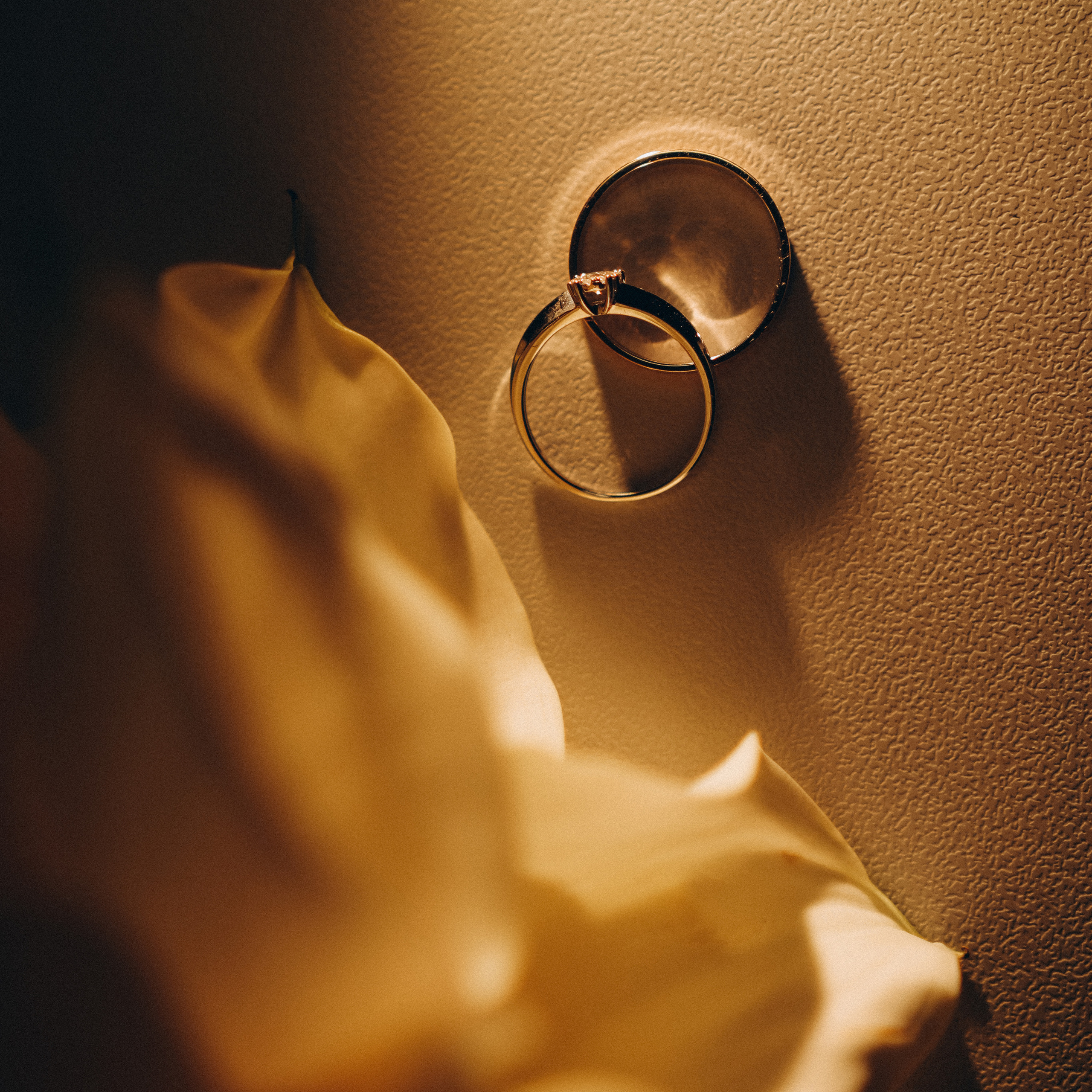 Feedback. Фотограф Максим Мельников