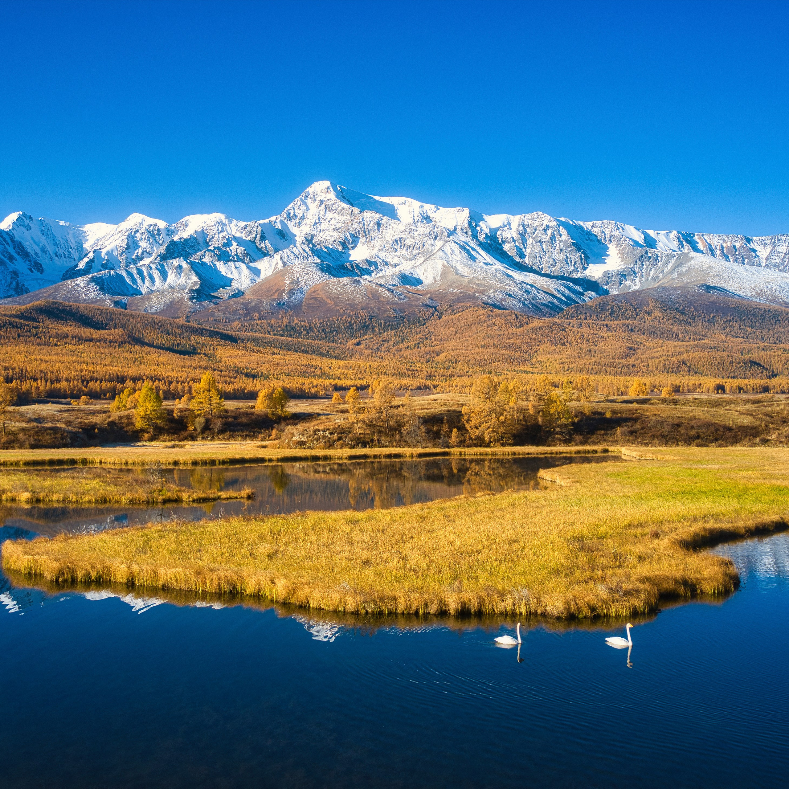 Оживающая фотокартина № 3 — 30*42 см. Фотограф Евгений Кожевников