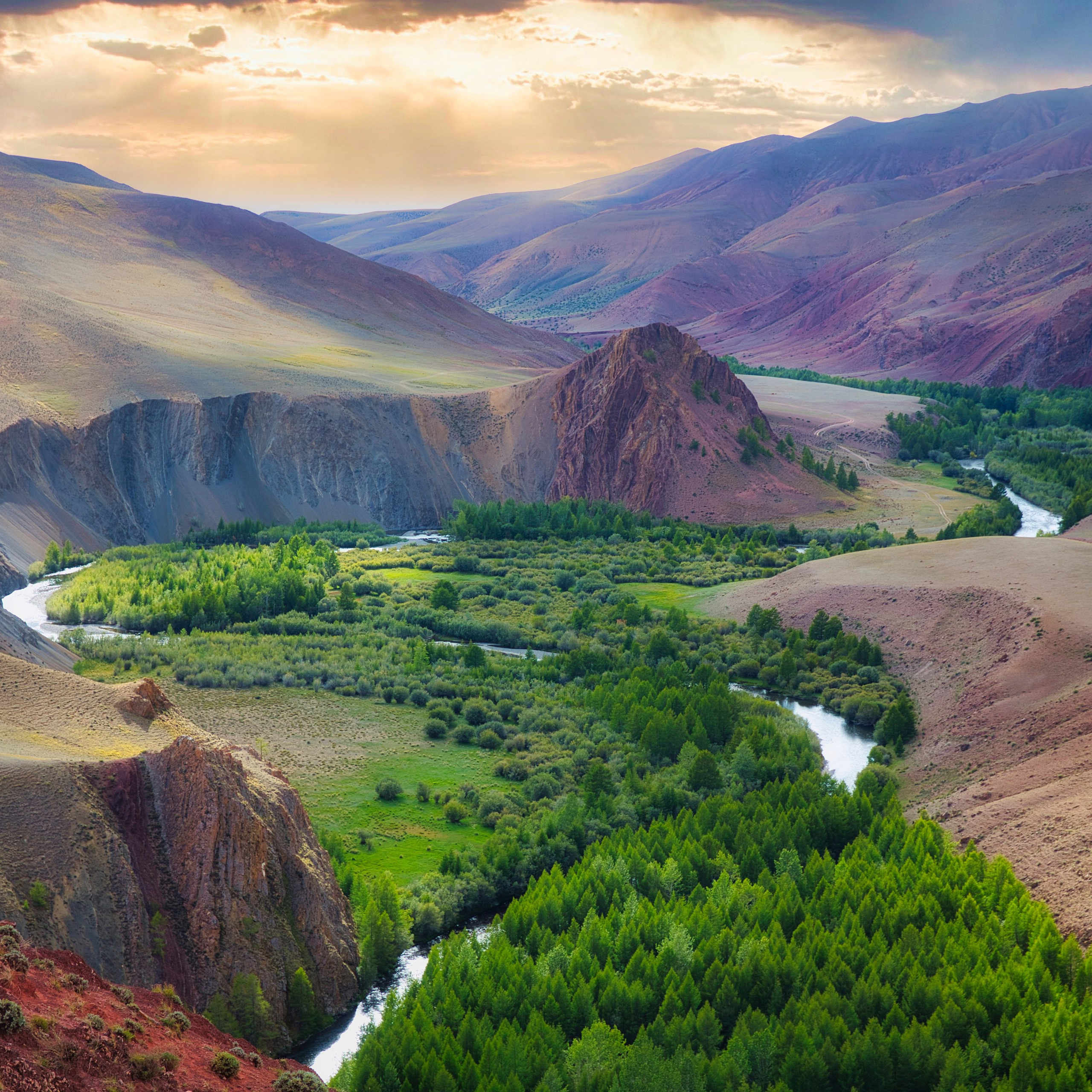 Фотокартина № 7 — 30*45 см. Фотограф Евгений Кожевников