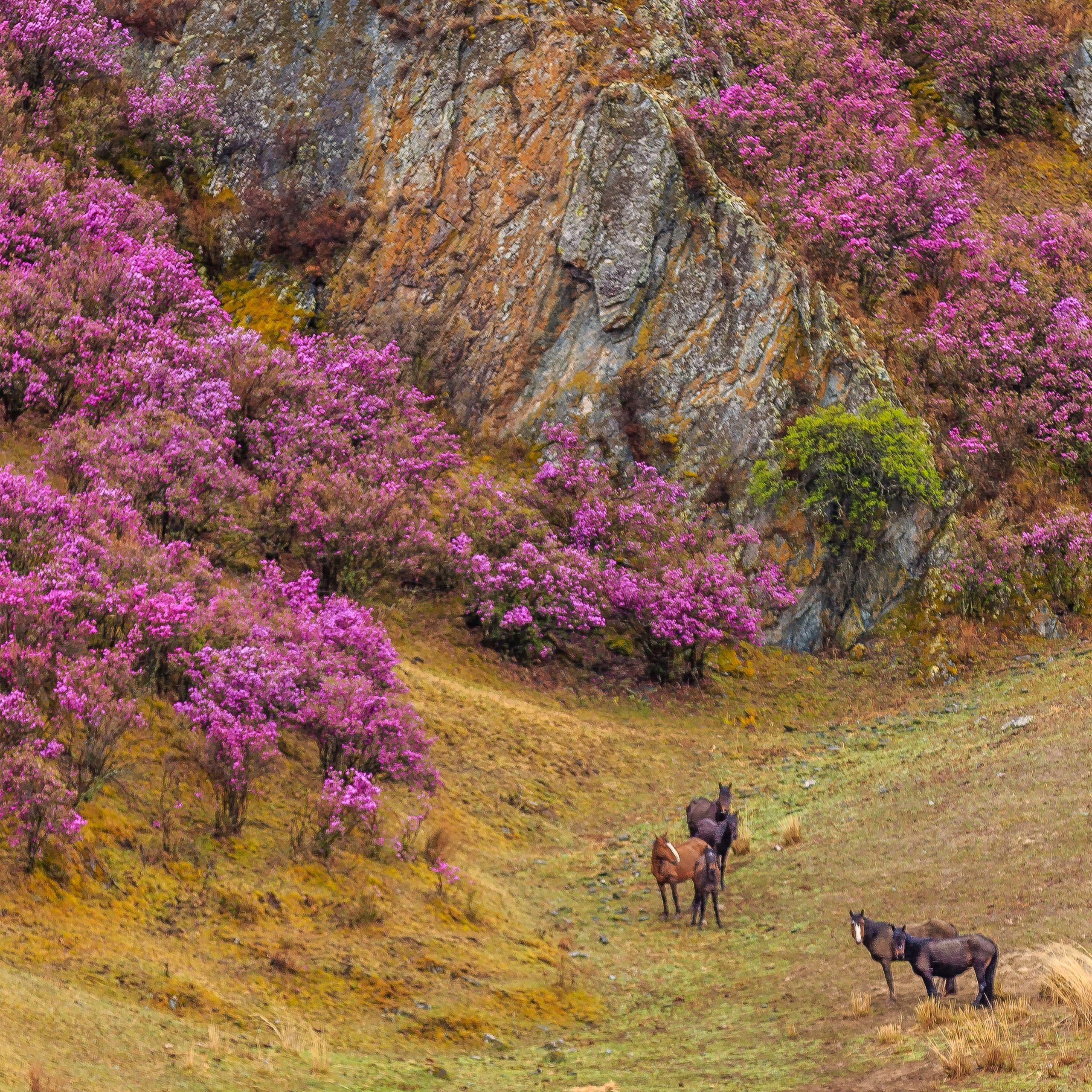 Фотокартина № 3 — 30*38 см. Фотограф Евгений Кожевников