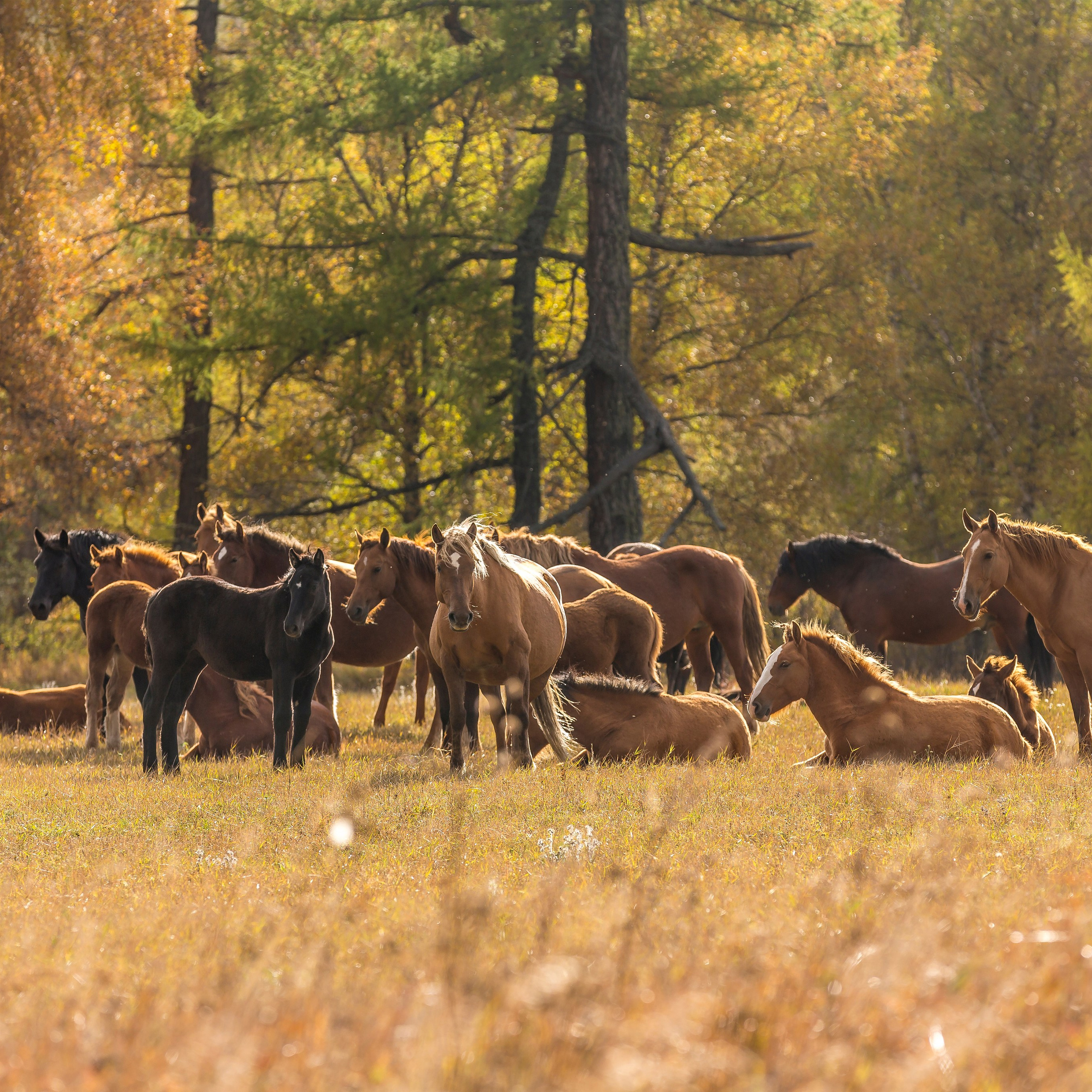 Фотокартина № 5 — 30*45 см. Фотограф Евгений Кожевников