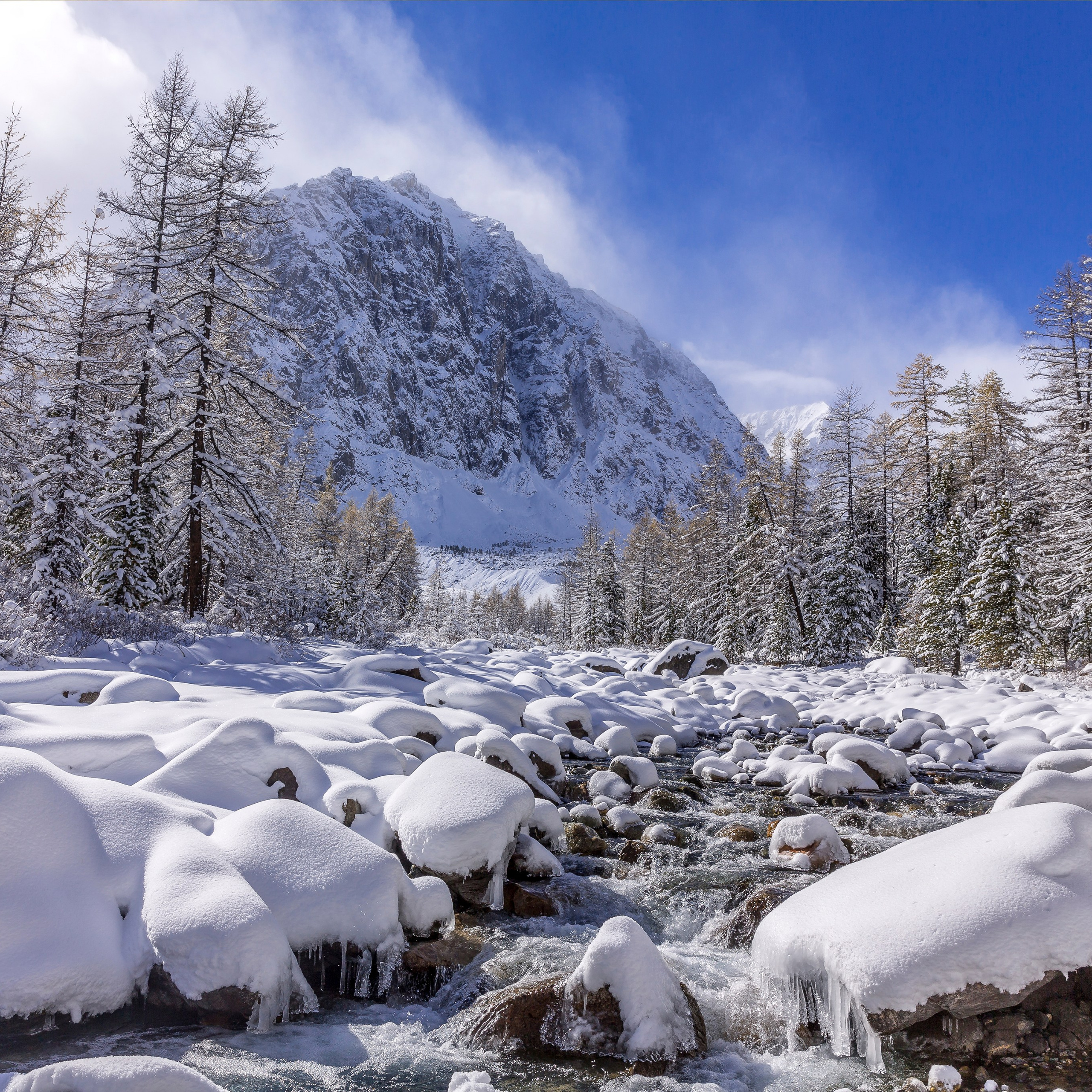 Фотокартина № 8 — 30*45 см. Фотограф Евгений Кожевников