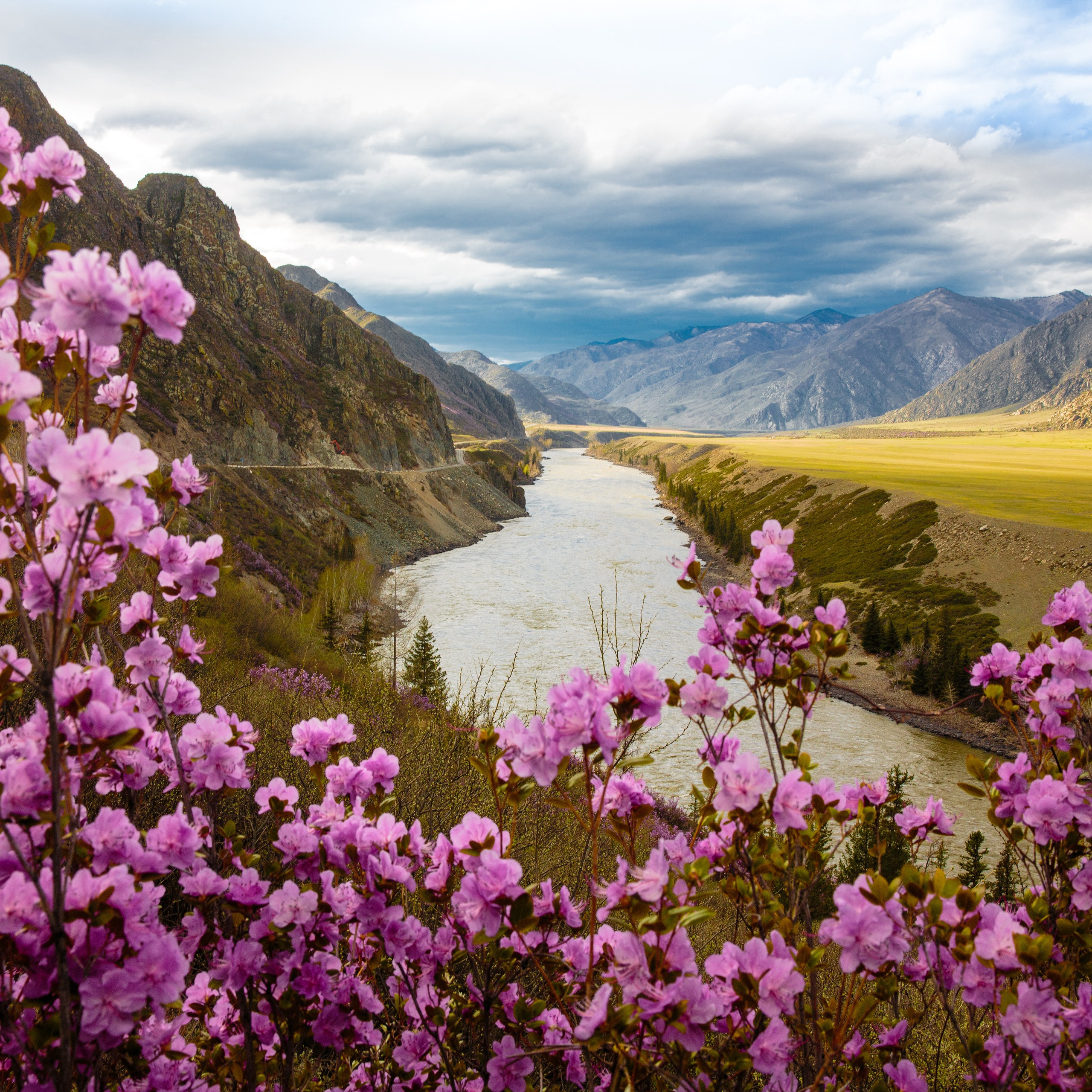 Алтай весна