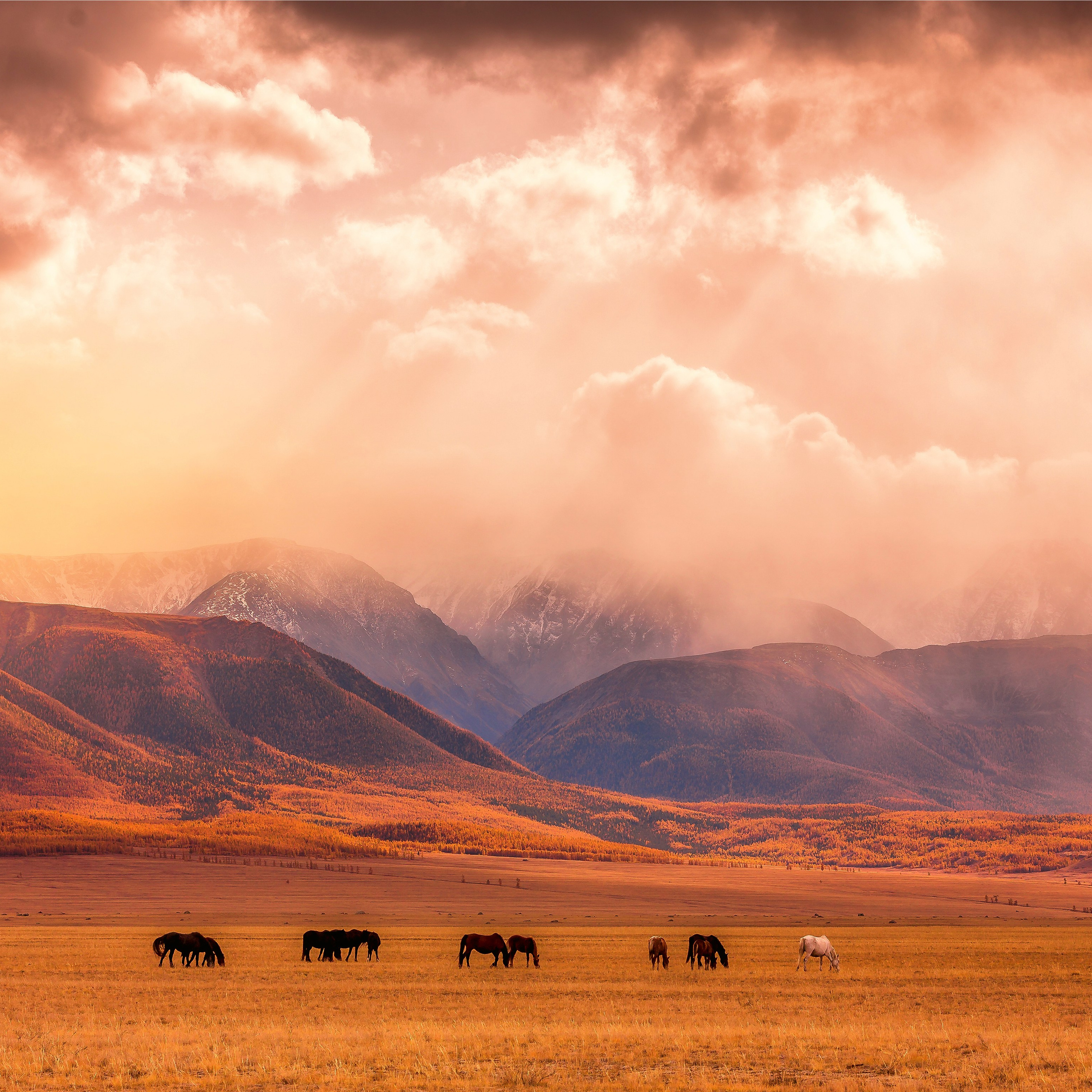 Фотокартина № 14 — 30*40 см. Фотограф Евгений Кожевников