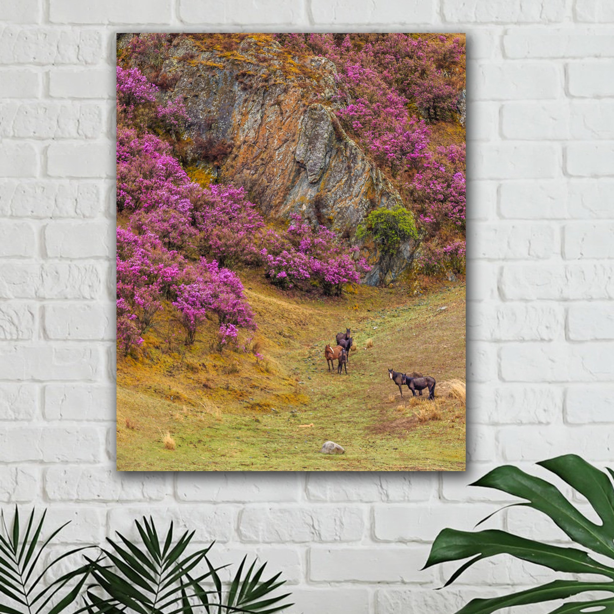 Фотокартина № 3 — 30*38 см. Фотограф Евгений Кожевников