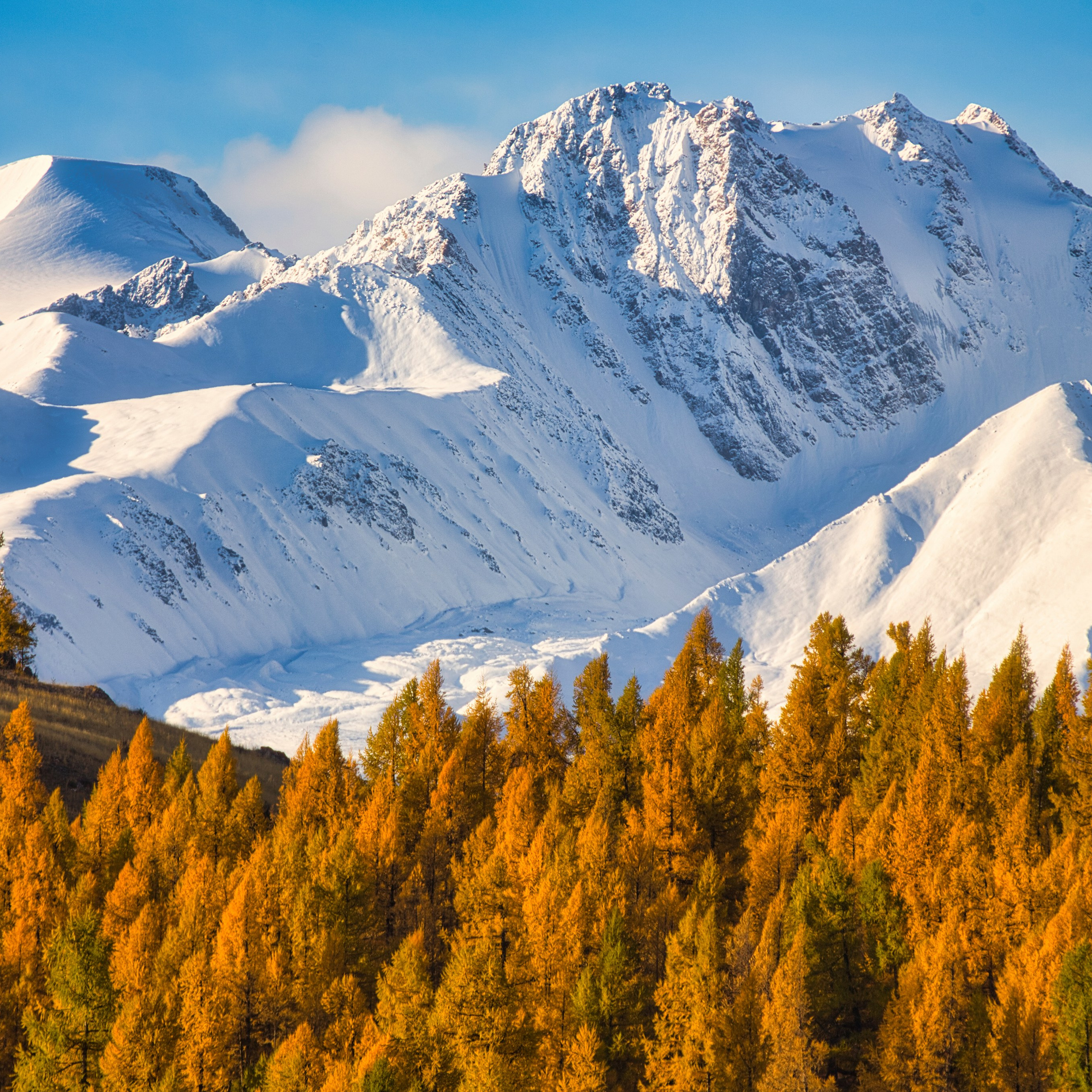 Фотокартина № 11 — 30*45 см. Фотограф Евгений Кожевников