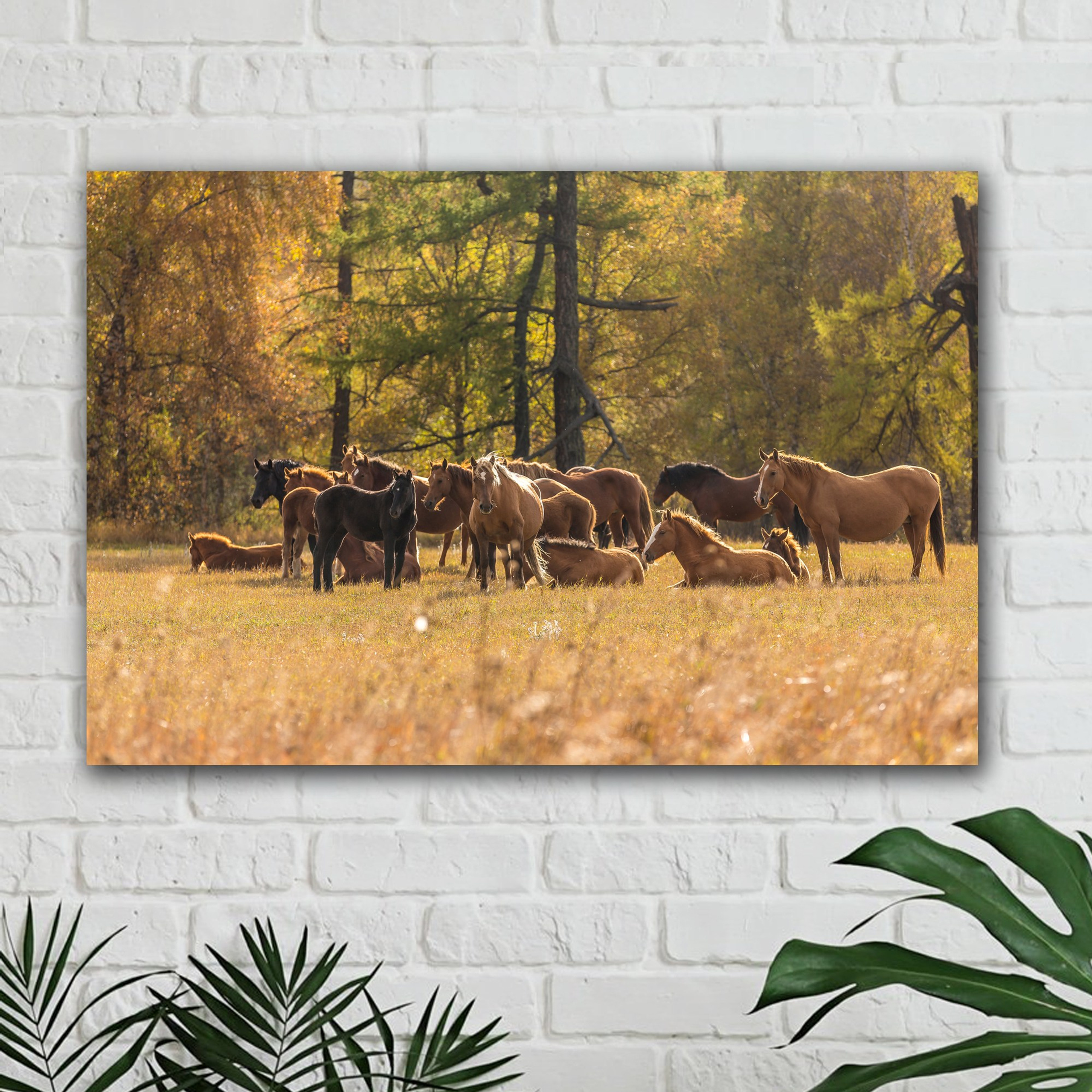 Фотокартина № 5 — 30*45 см. Фотограф Евгений Кожевников