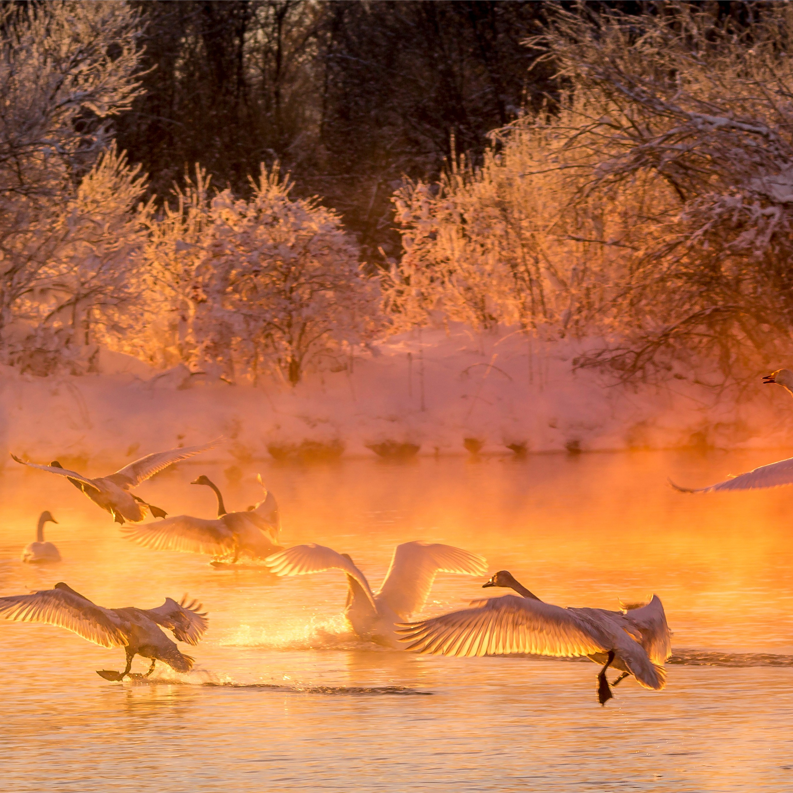 Фотокартина № 12 — 30*45 см. Фотограф Евгений Кожевников