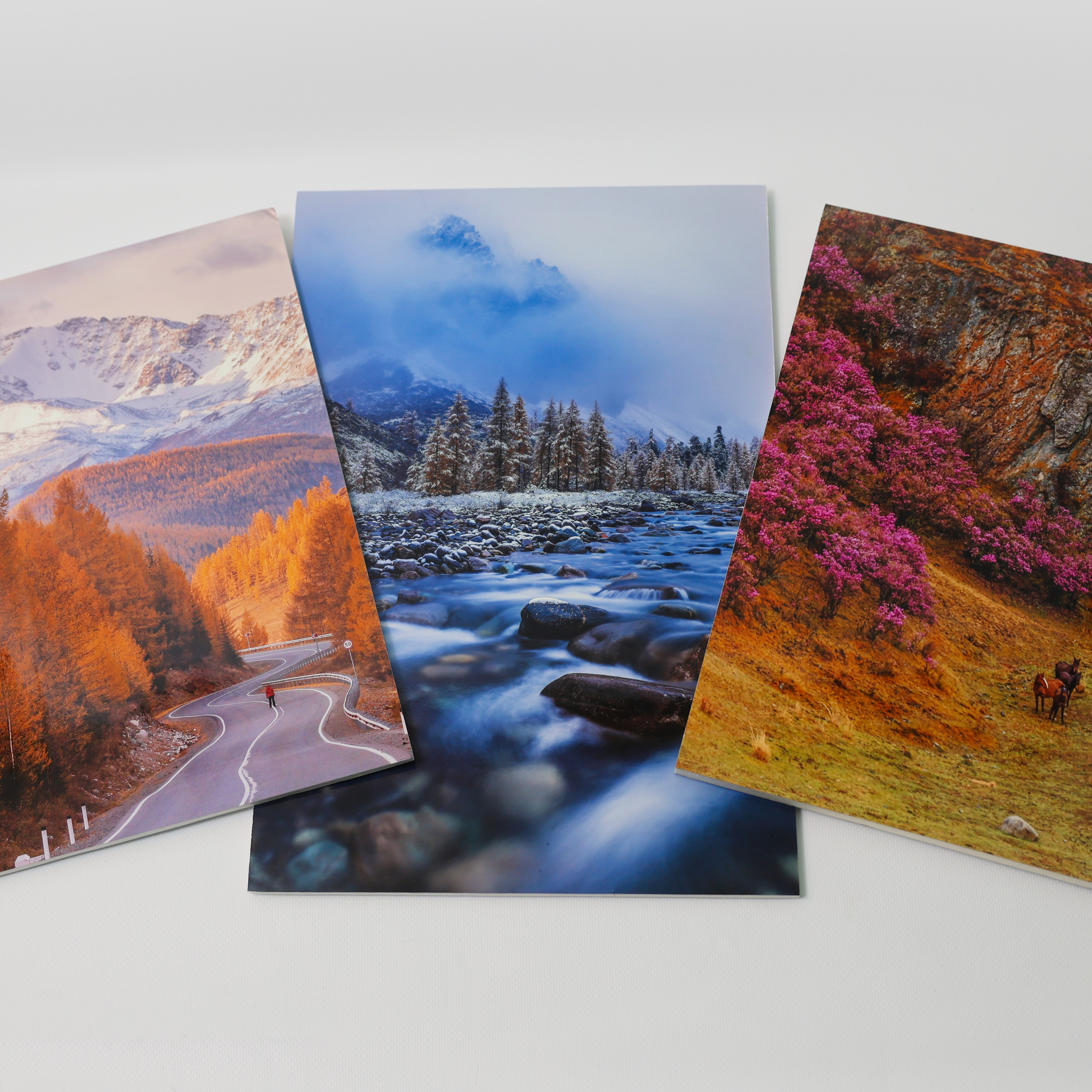 Фотокартина № 3 — 30*38 см. Фотограф Евгений Кожевников