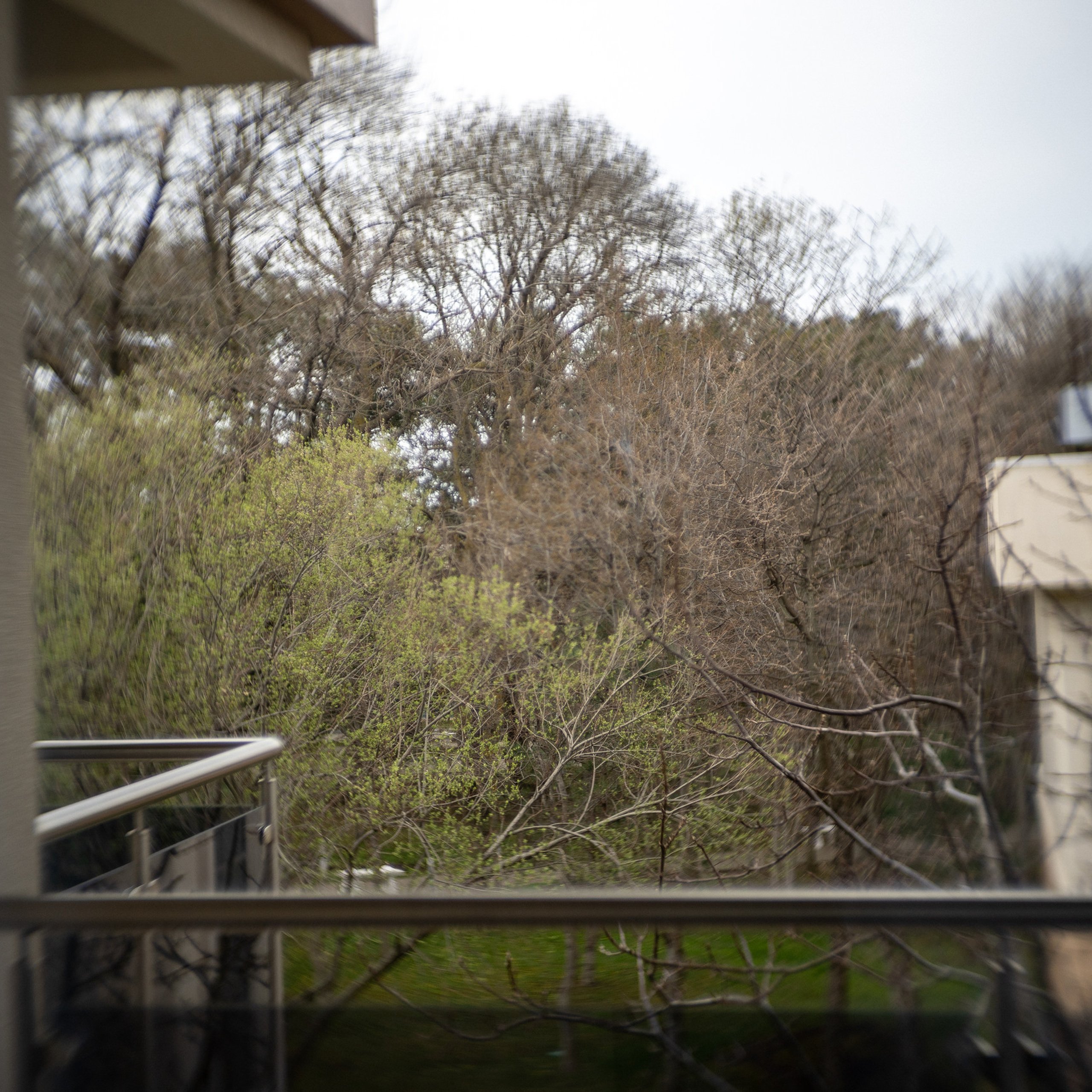 Отзывы. Фотограф в Москве Проймин Алексей