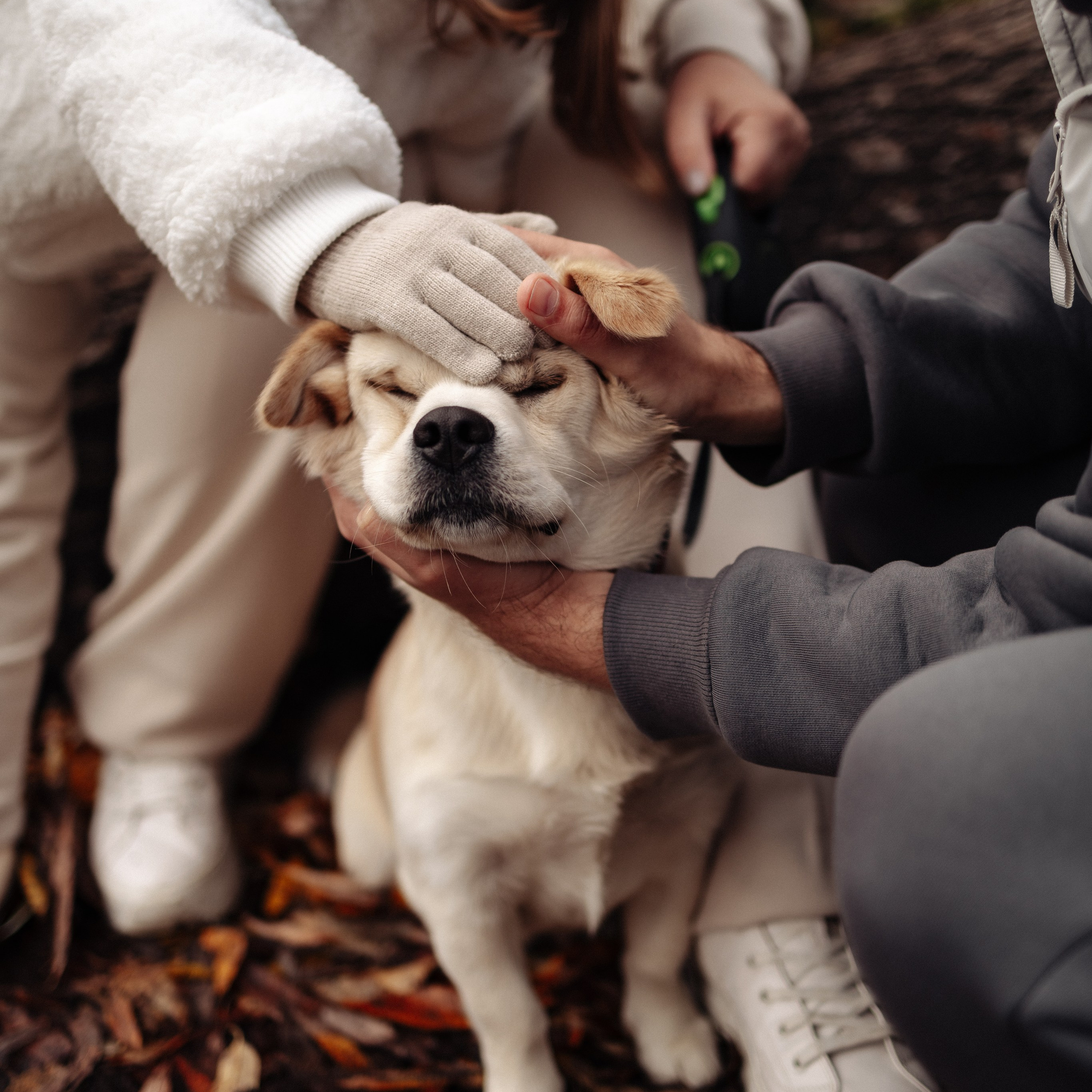 Осенняя прогулка в парке. Женя, Таня, Лера и Сэм