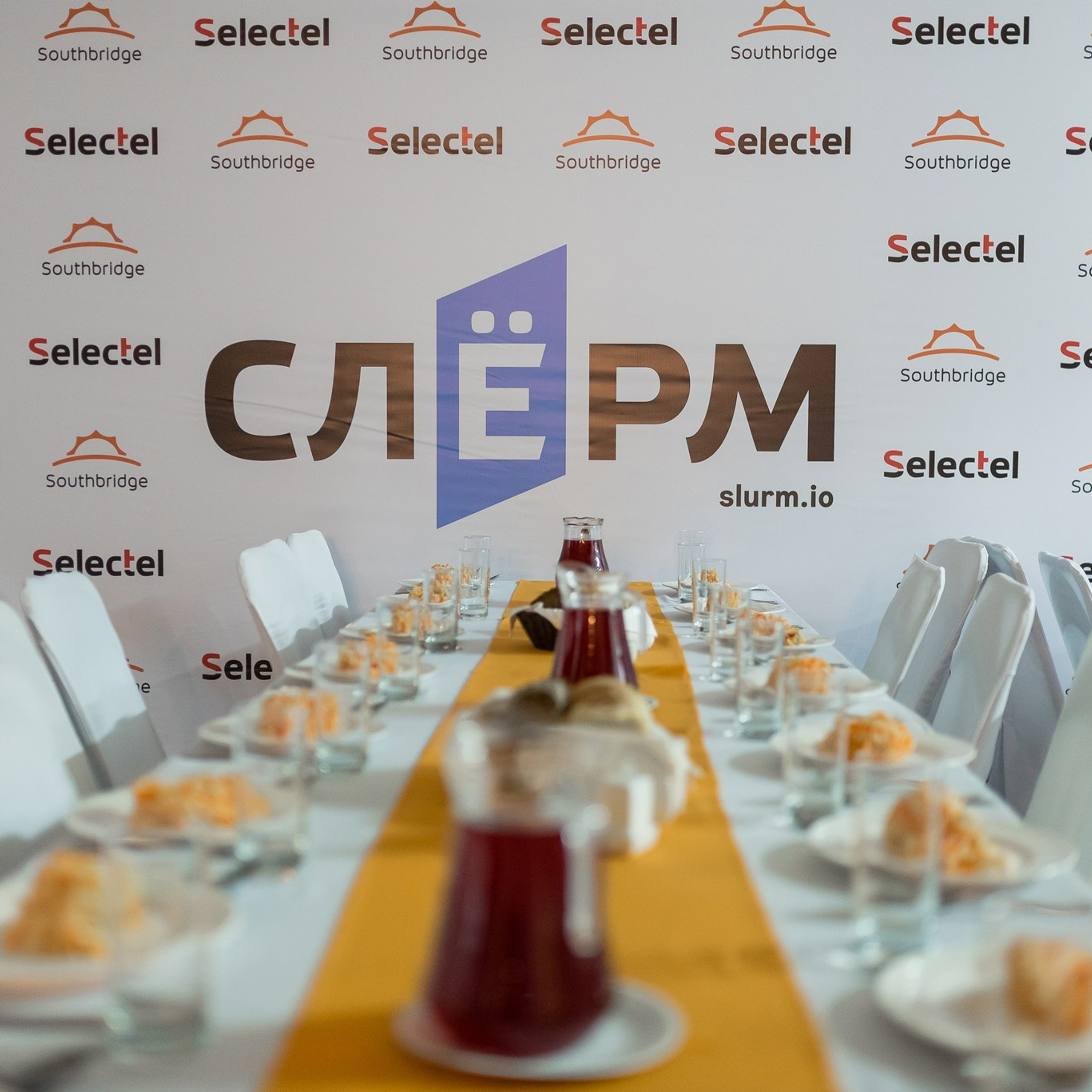 Конференция Слёрм