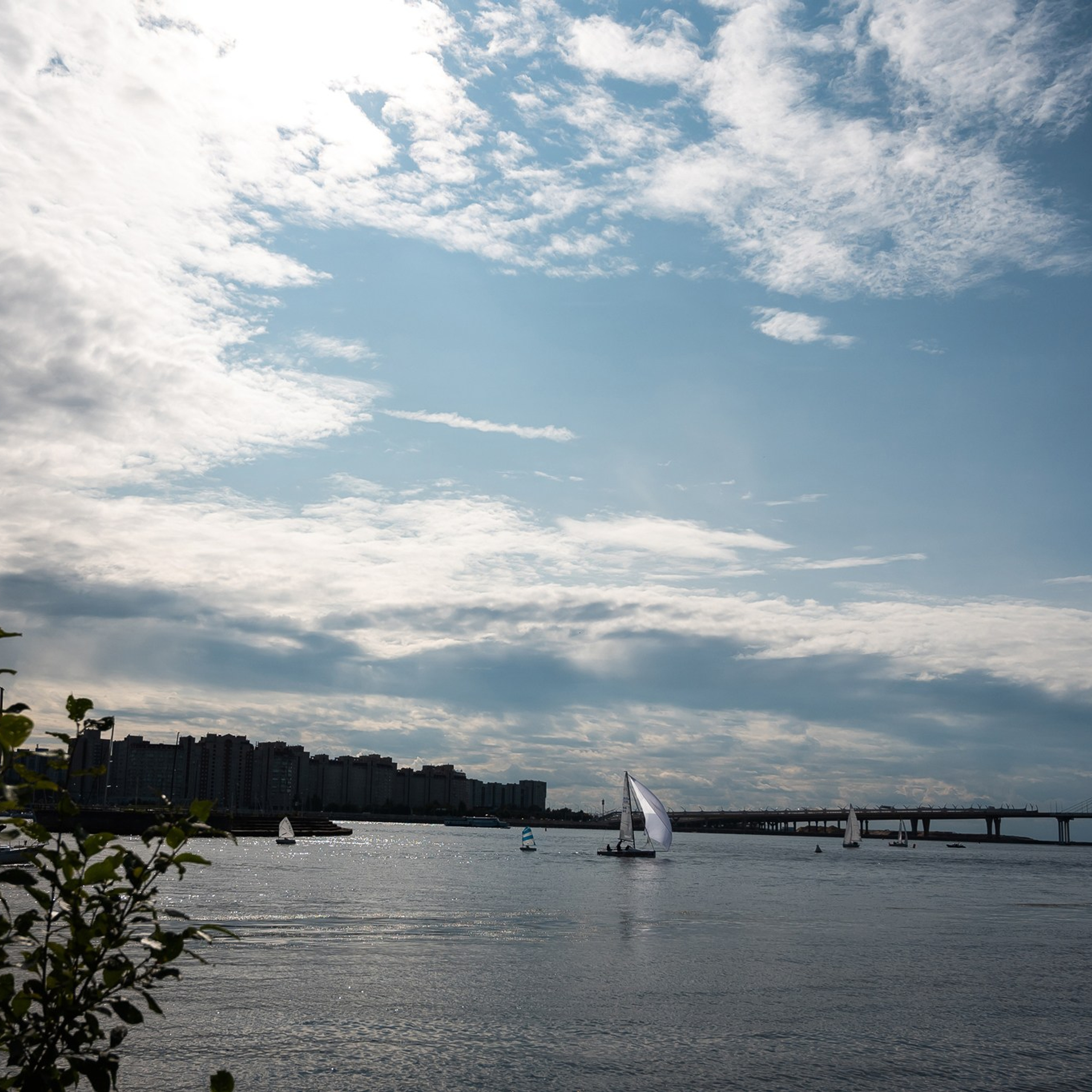 Алексей и Елизавета