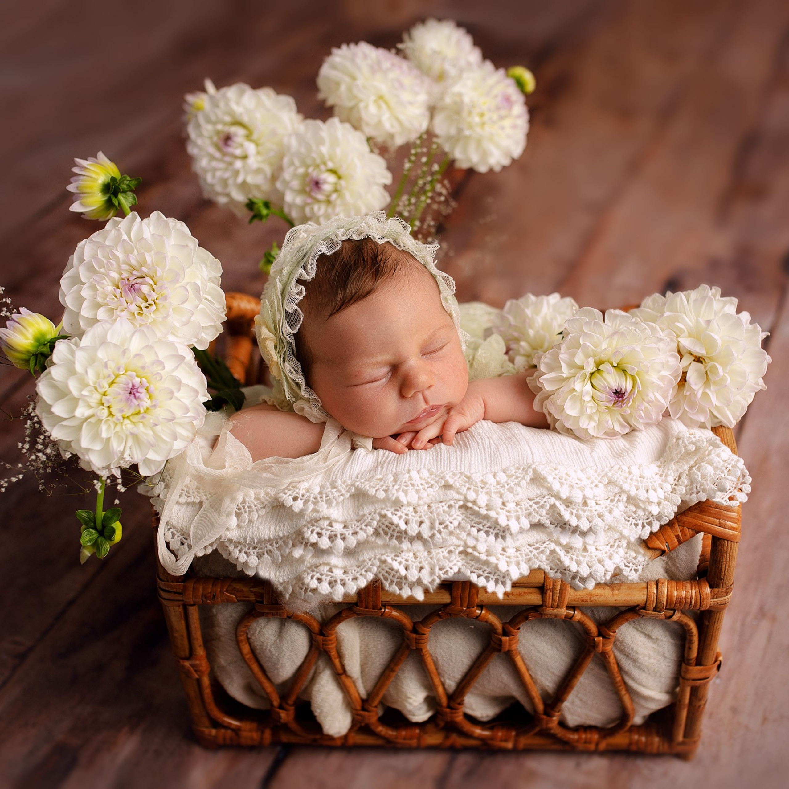 СОФИЯ 8 дней Classic