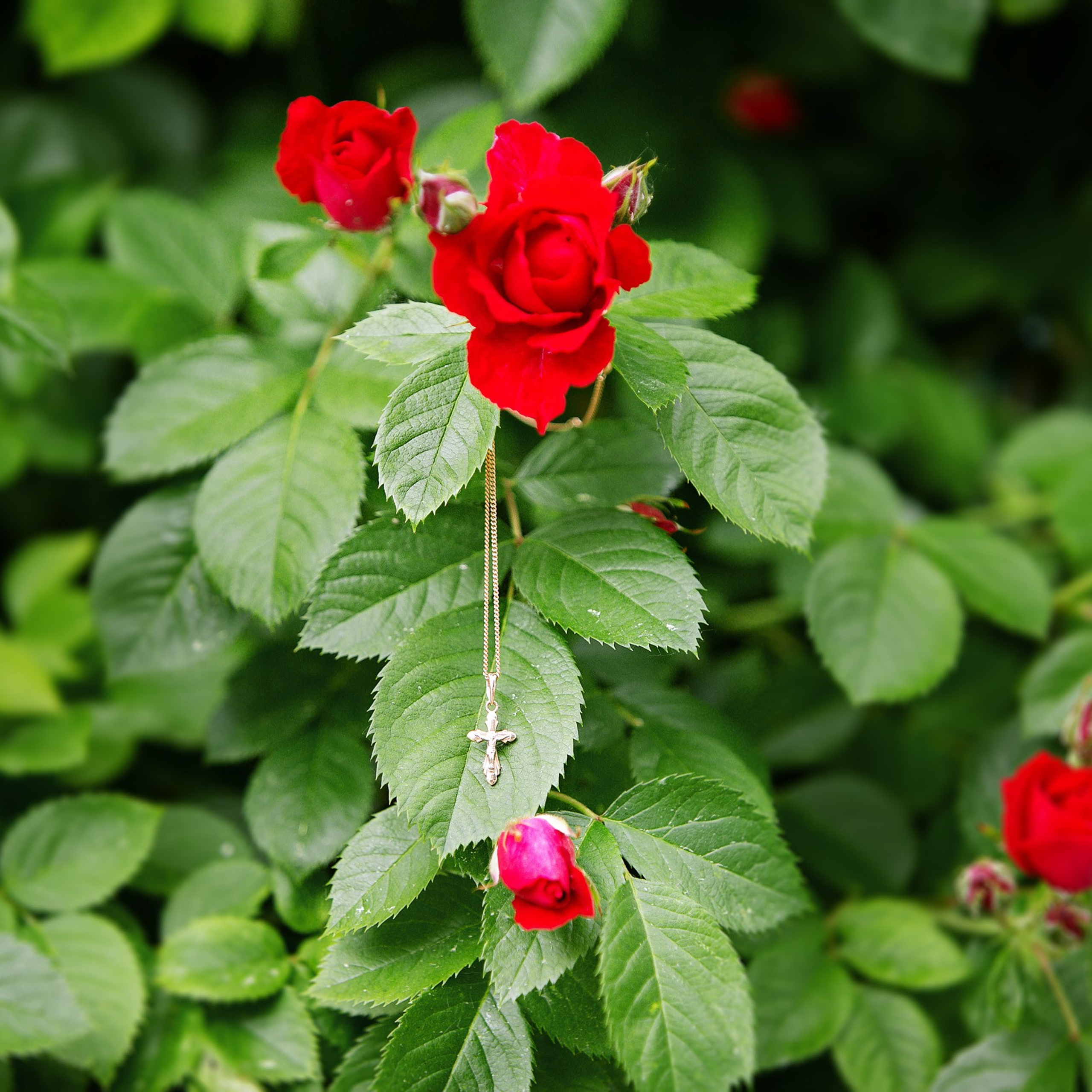 КРЕЩЕНИЕ ЕСЕНИИ Минск