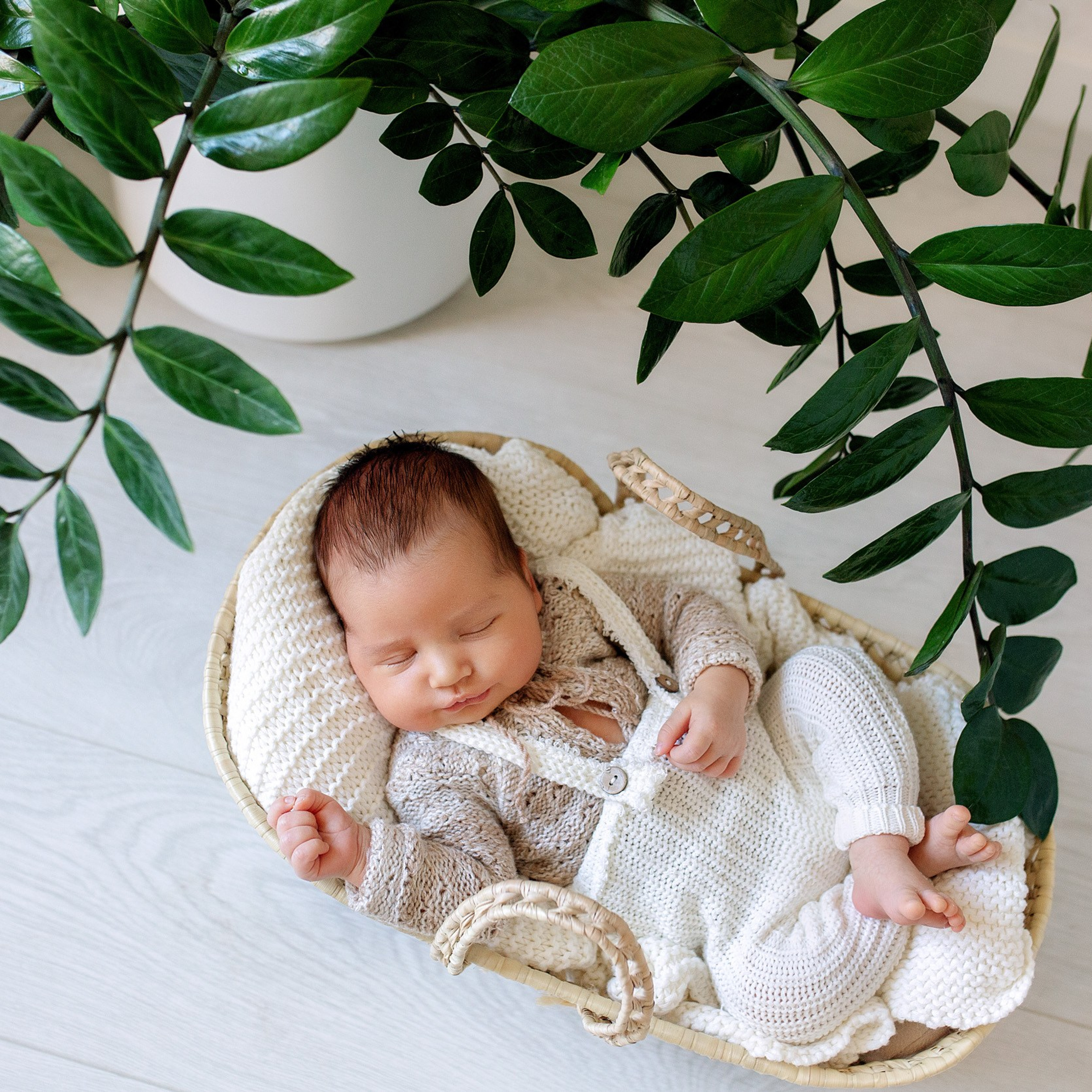 МАКСИМ домашняя Life