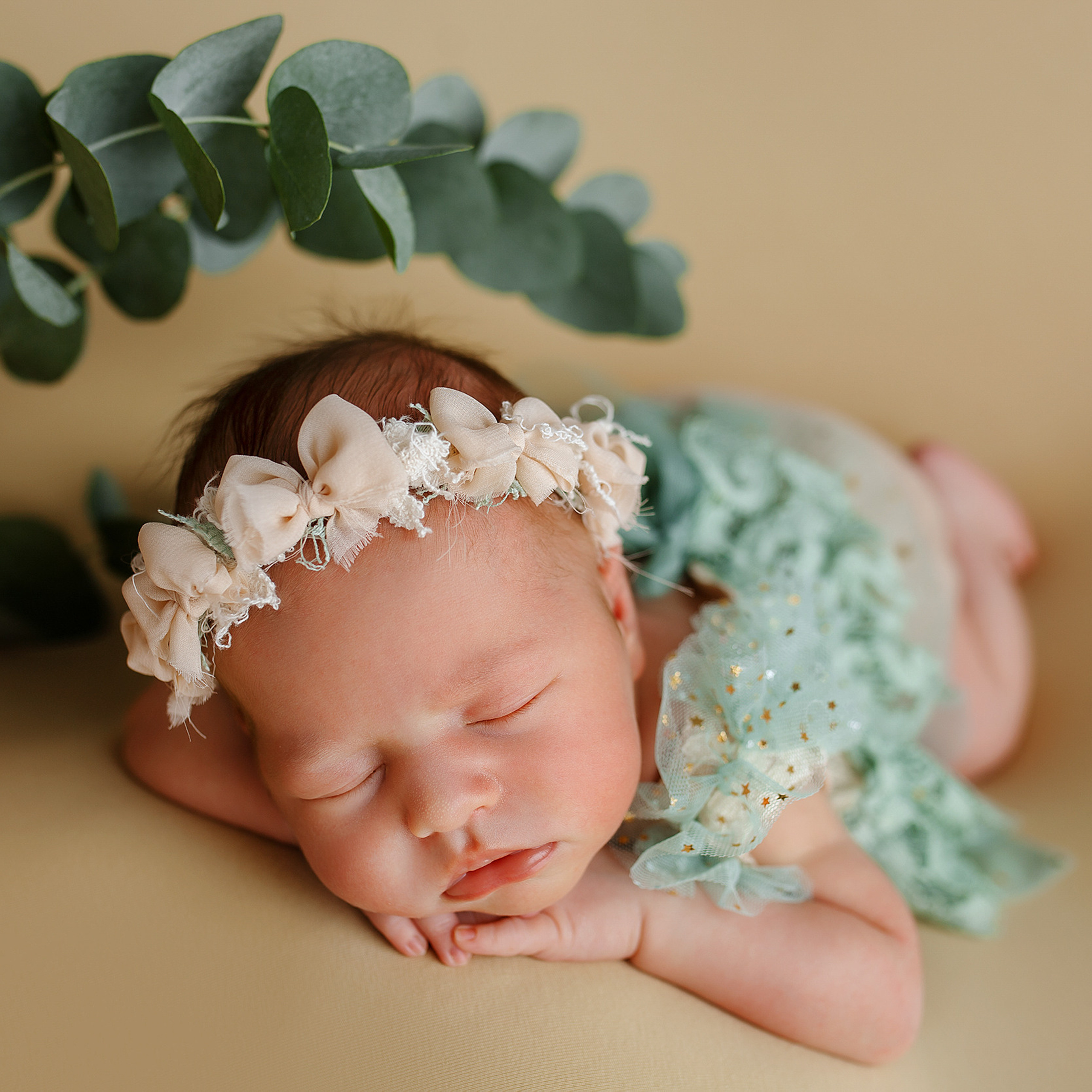 ВАРВАРА 12 дней Classic