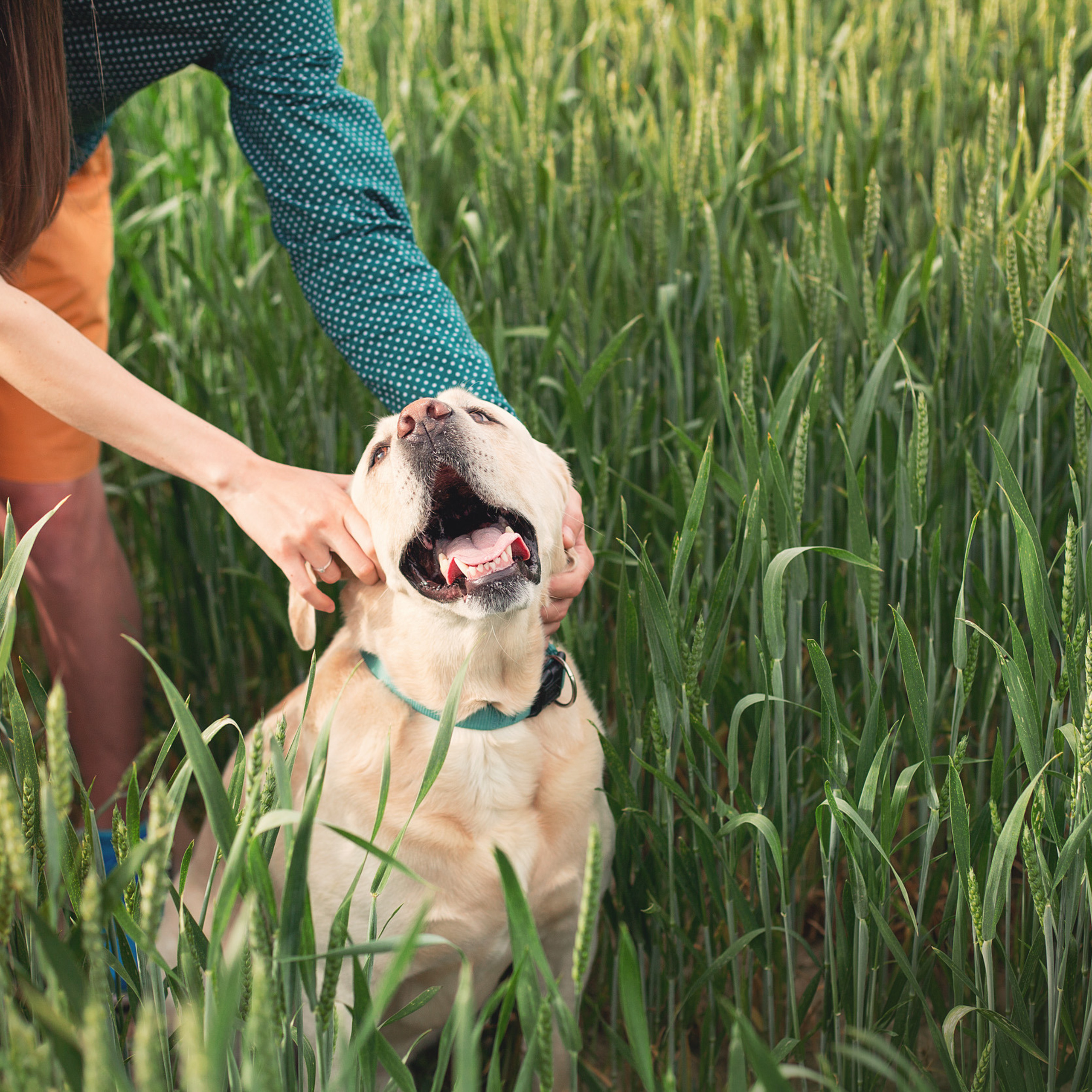 Нина, Юра и Марли
