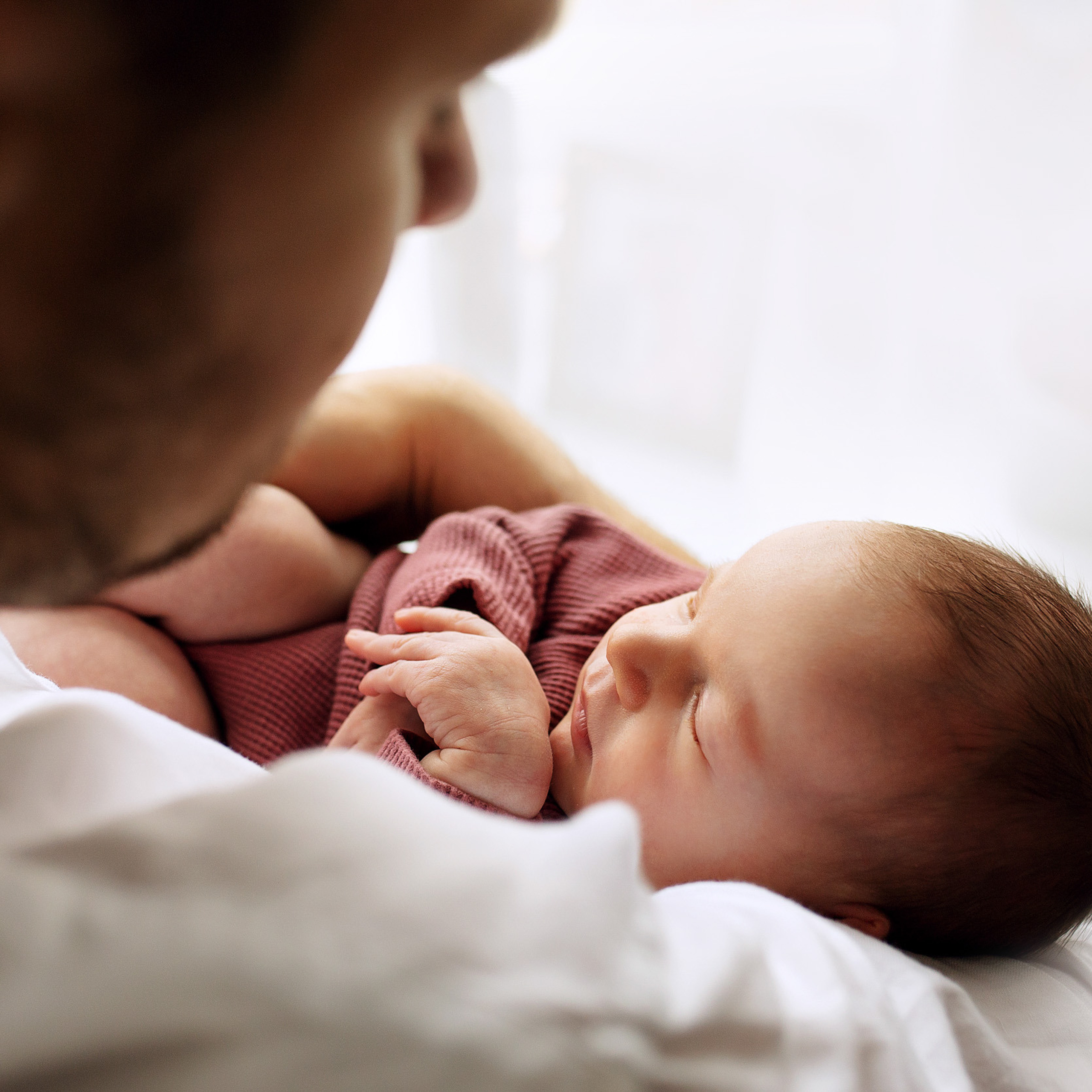 МИРА домашняя Life