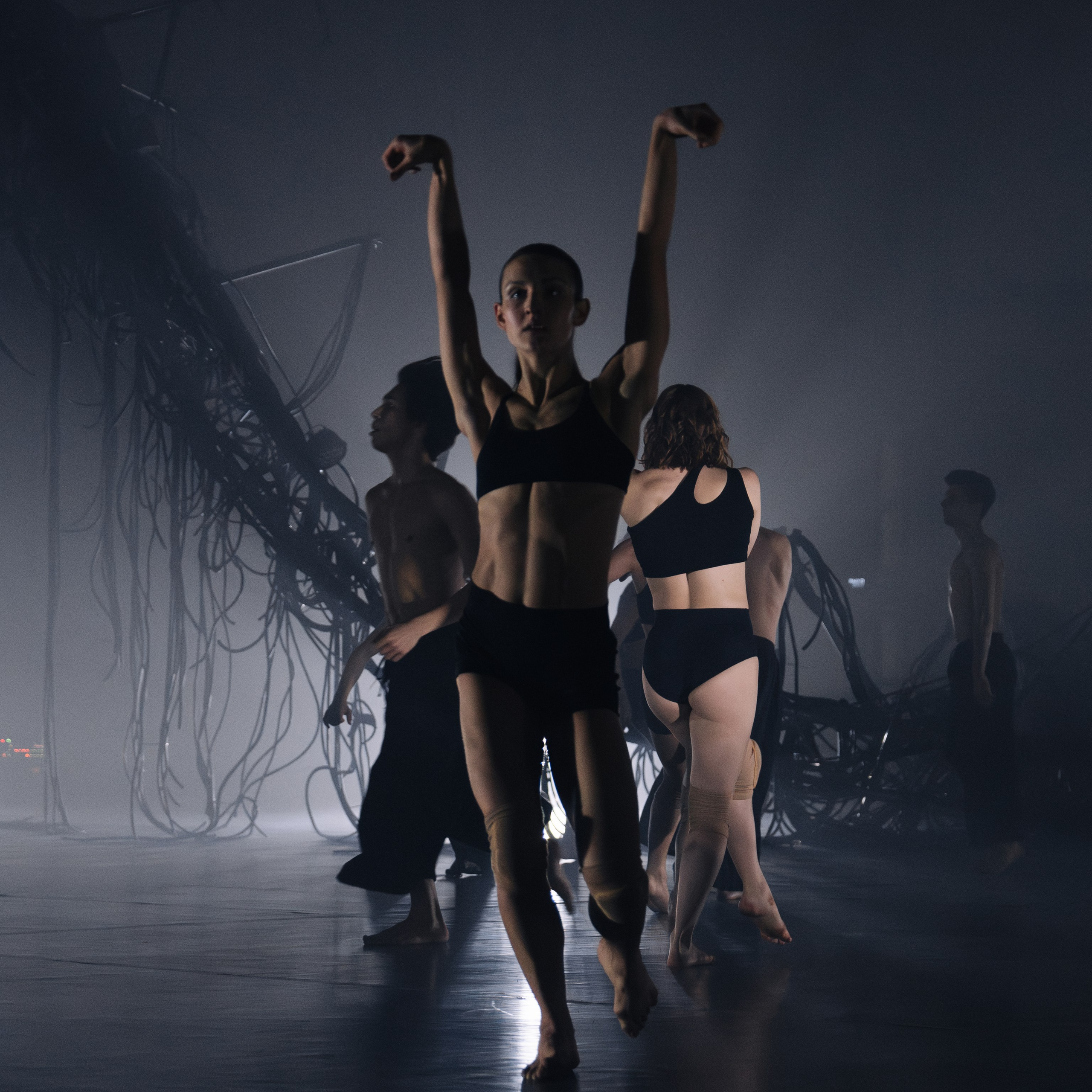 PERFORMA, The Hour of the Horse