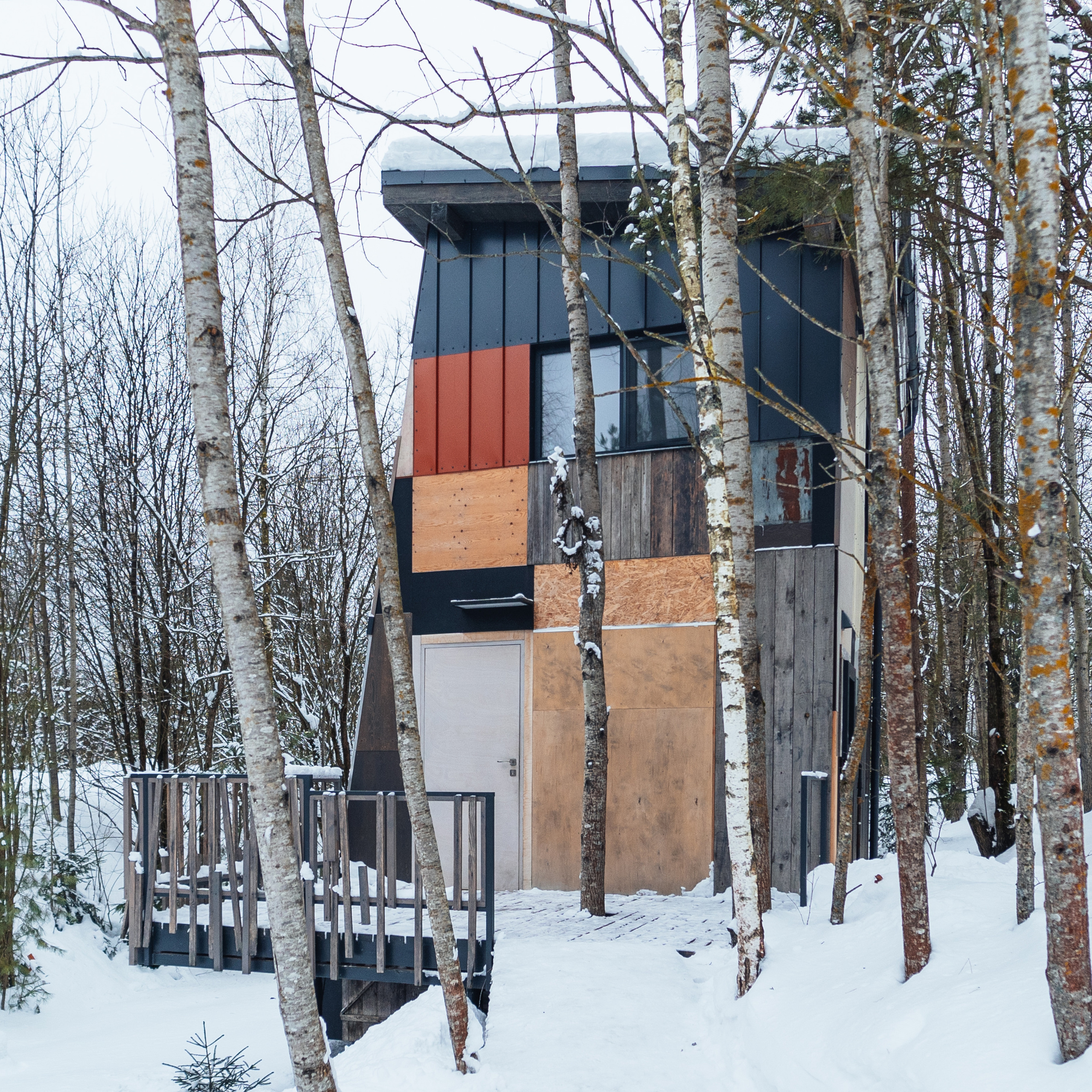 Дом Антресоль, Никола — Ленивец