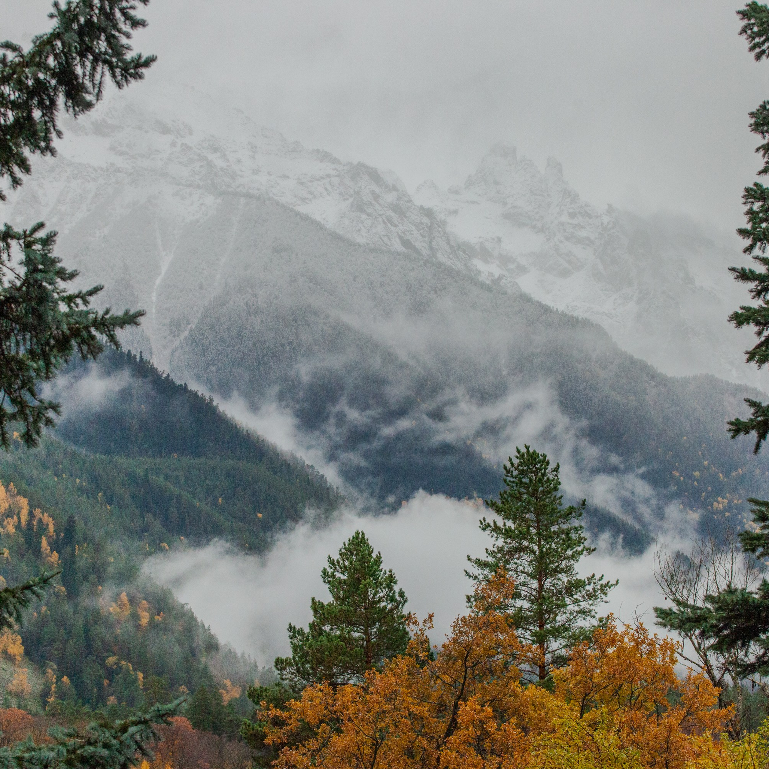Отзывы. Саида Шигапова