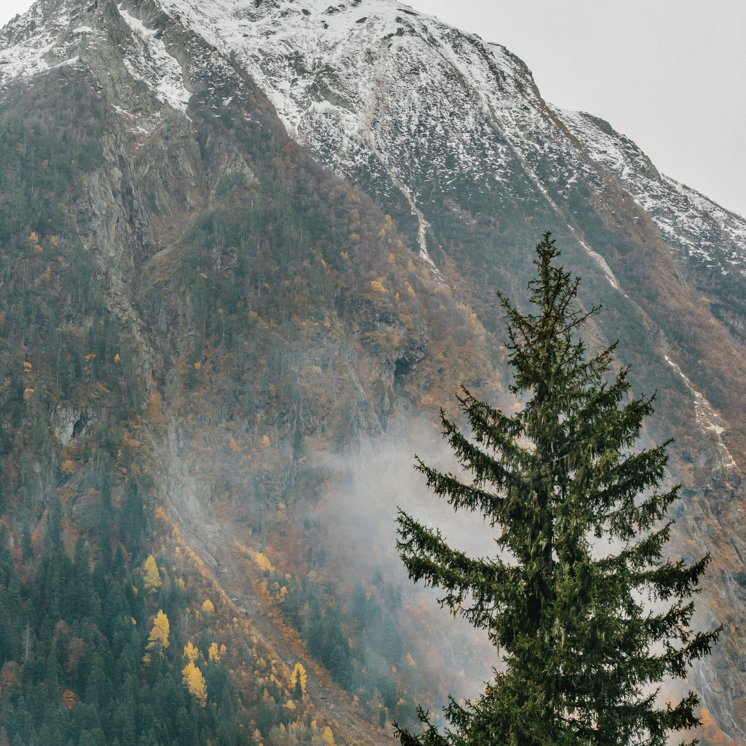 Отзывы. Саида Шигапова