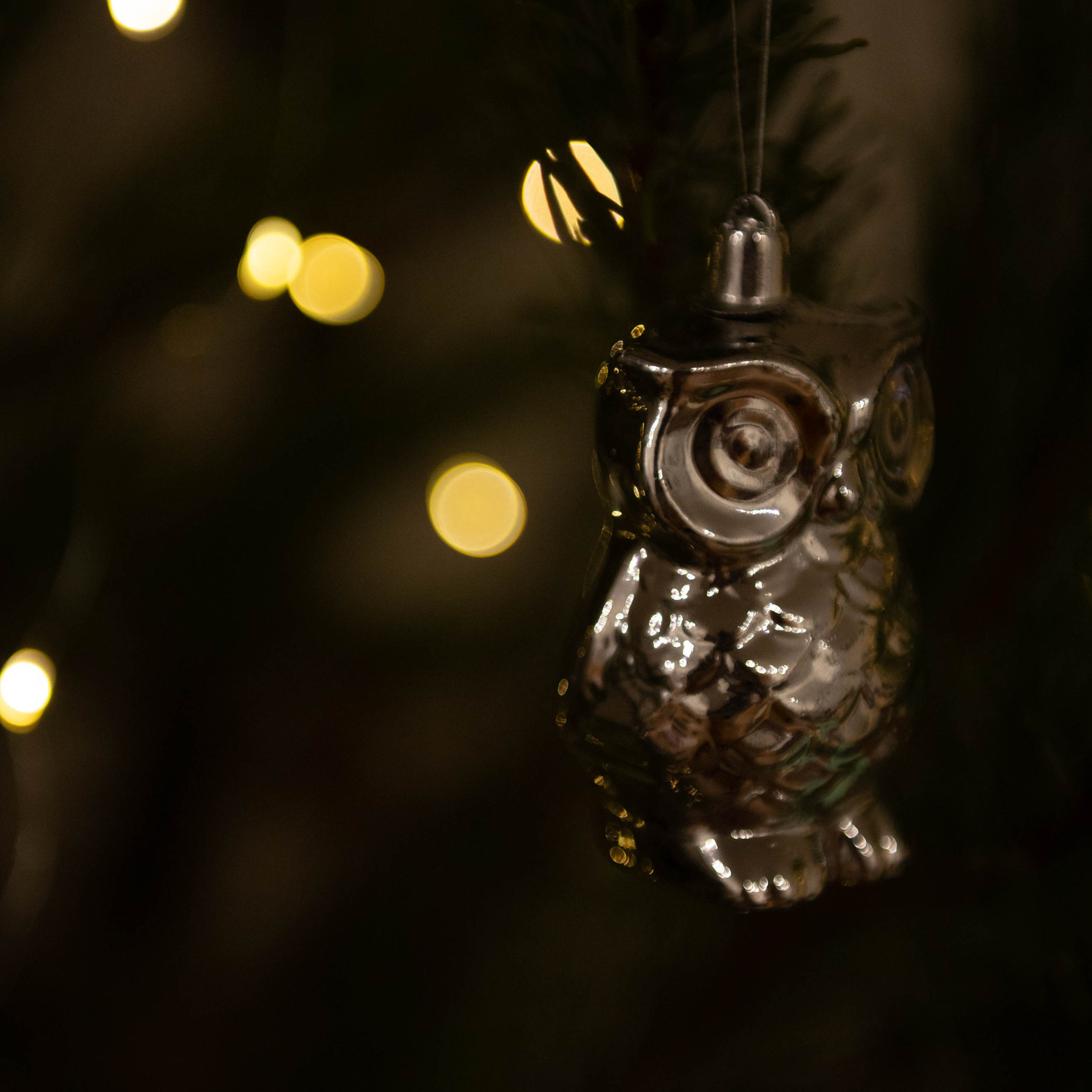 Отзывы. Свадебный фотограф Владимир Рябков