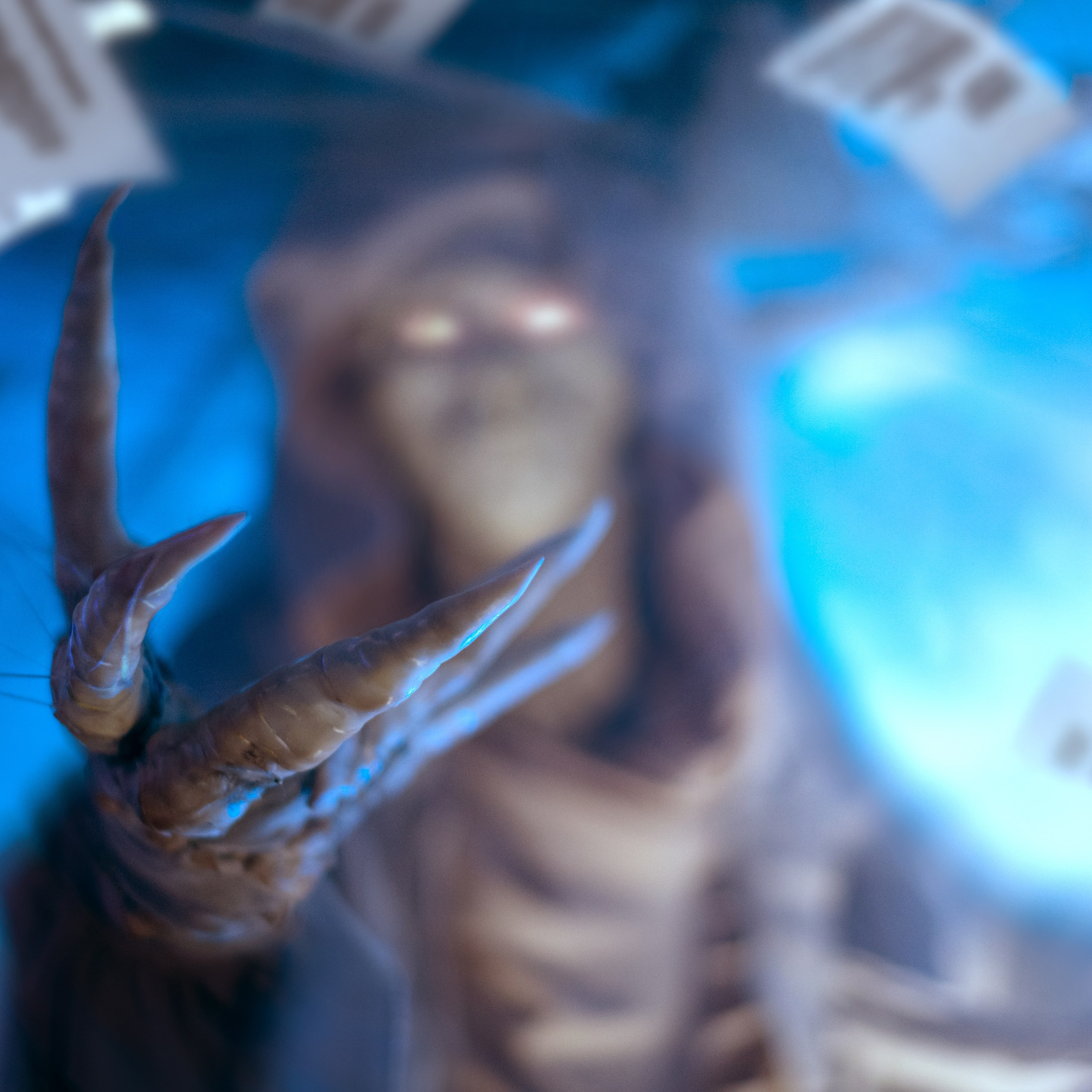 Квесты. Твой идеальный фотограф