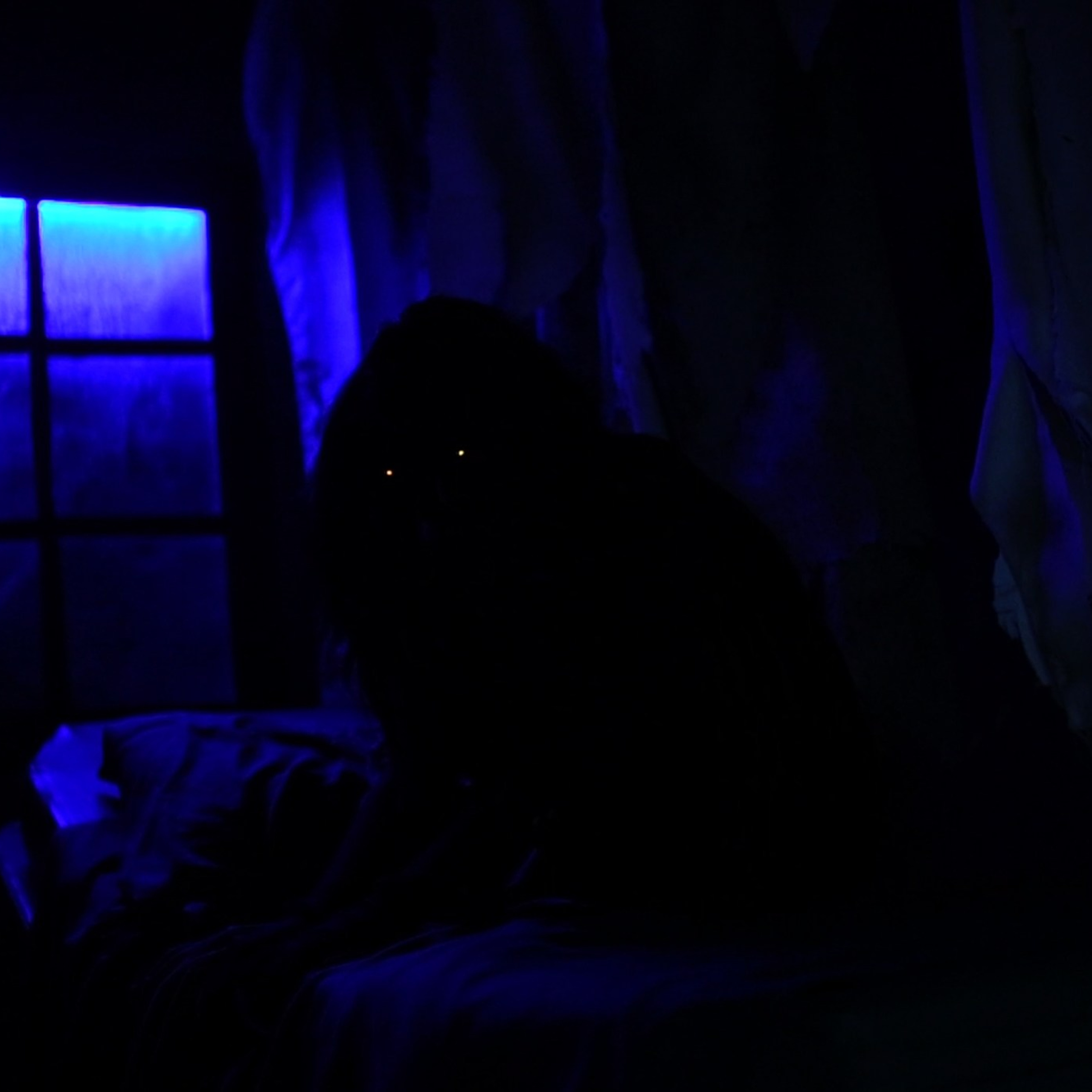 Квесты. Твой идеальный фотограф