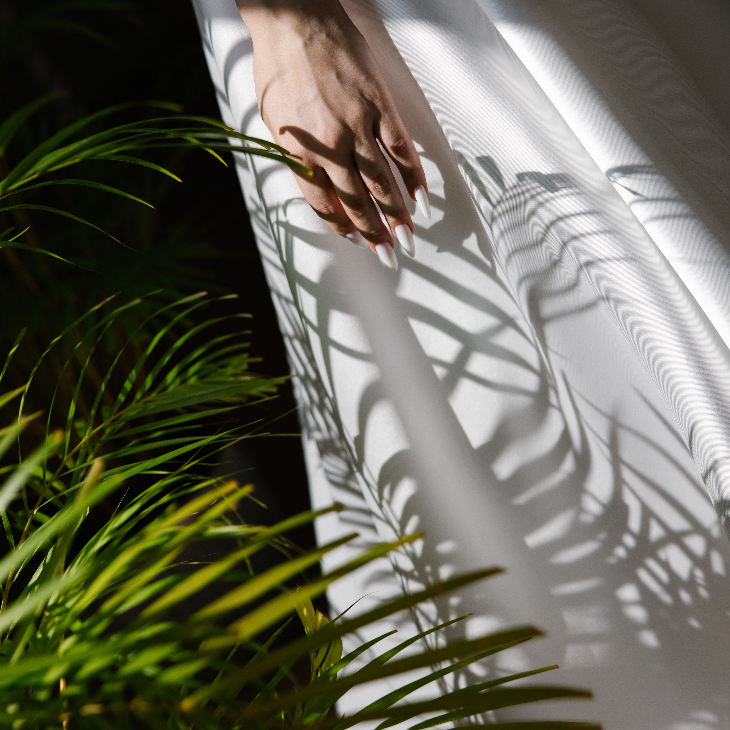 Николай и Ангелина. Свадебный фотограф Тверь, Москва и Санкт-Петербург