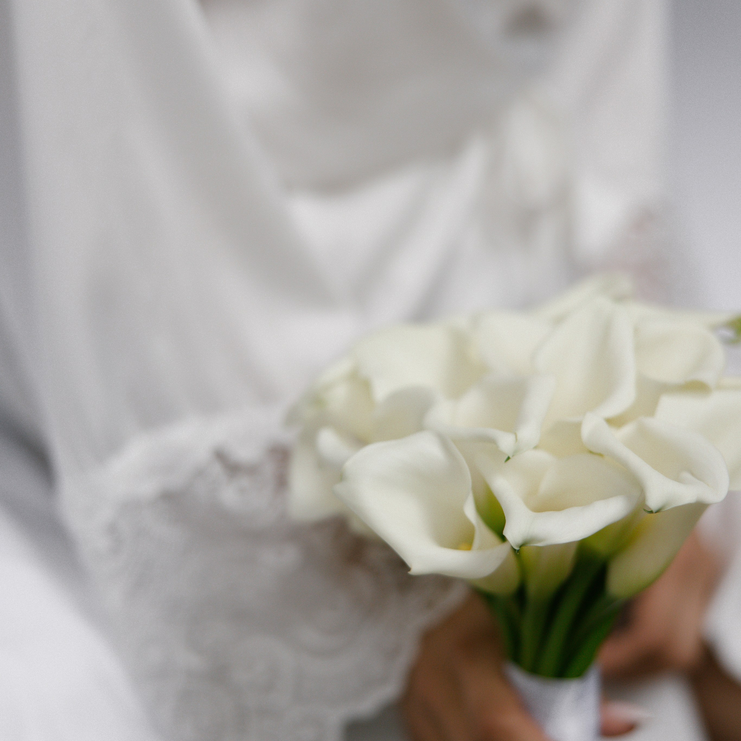 Отзывы. Свадебный фотограф Тверь, Москва и Санкт-Петербург