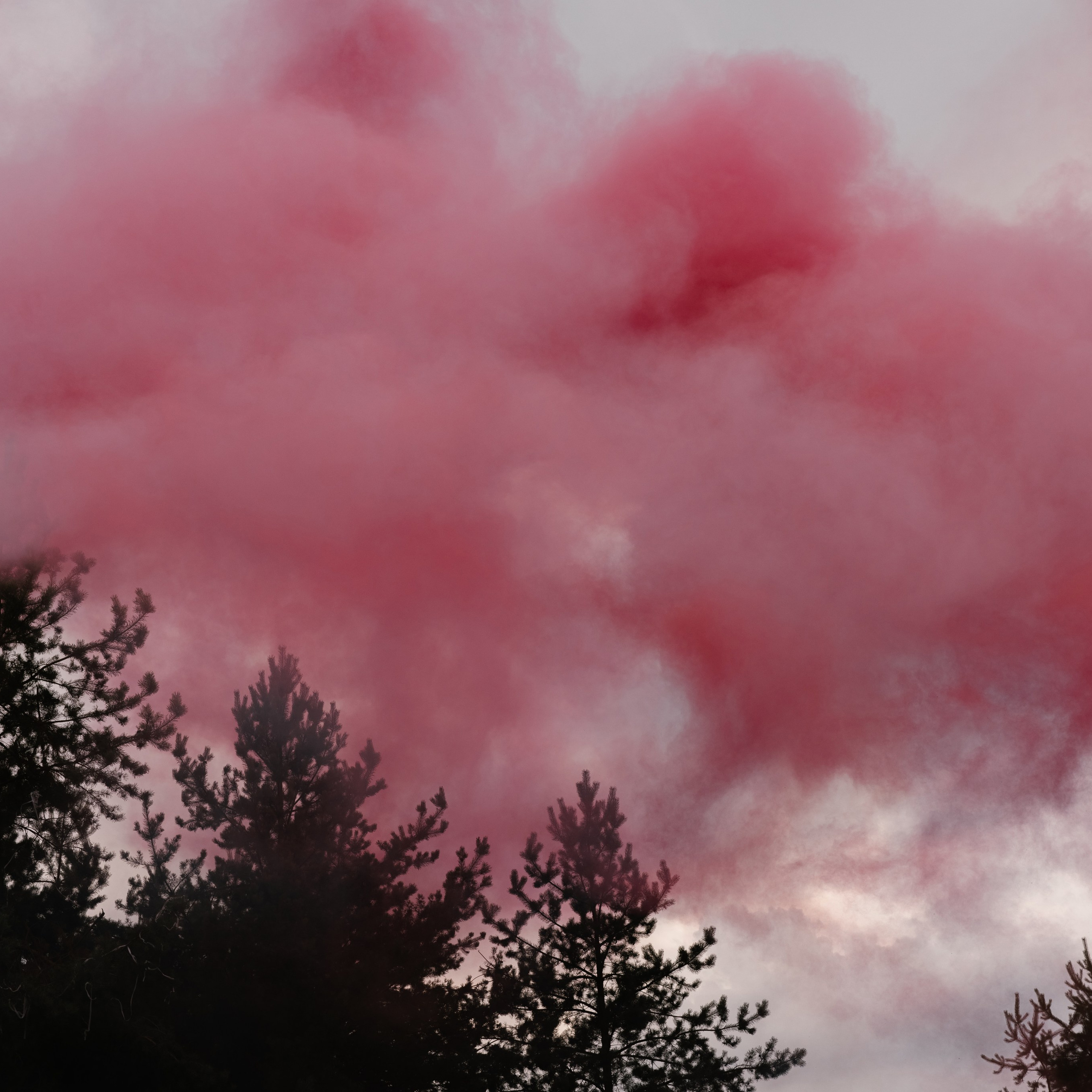 Дмитрий и Александра. Свадебный фотограф Тверь, Москва и Санкт-Петербург