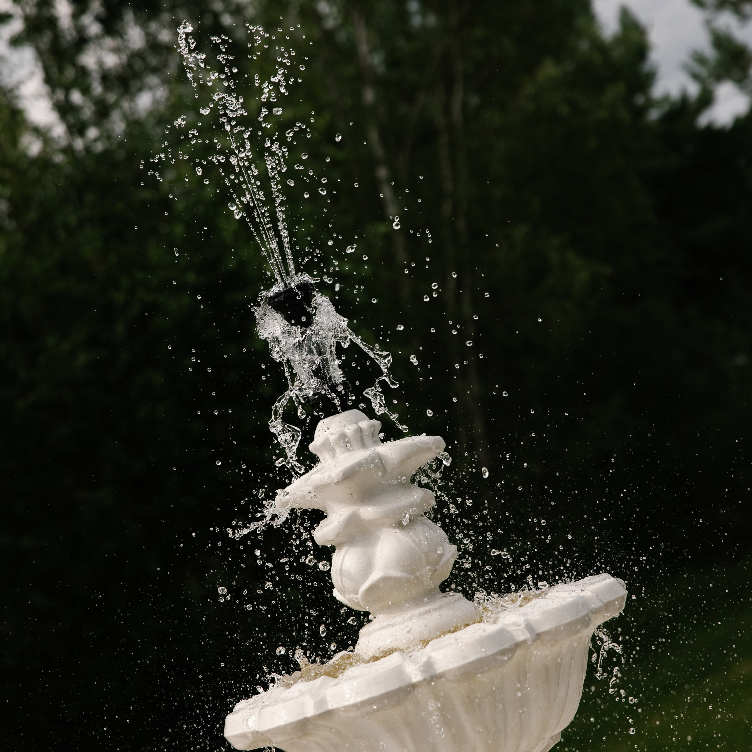 Дмитрий и Александра. Свадебный фотограф Тверь, Москва и Санкт-Петербург