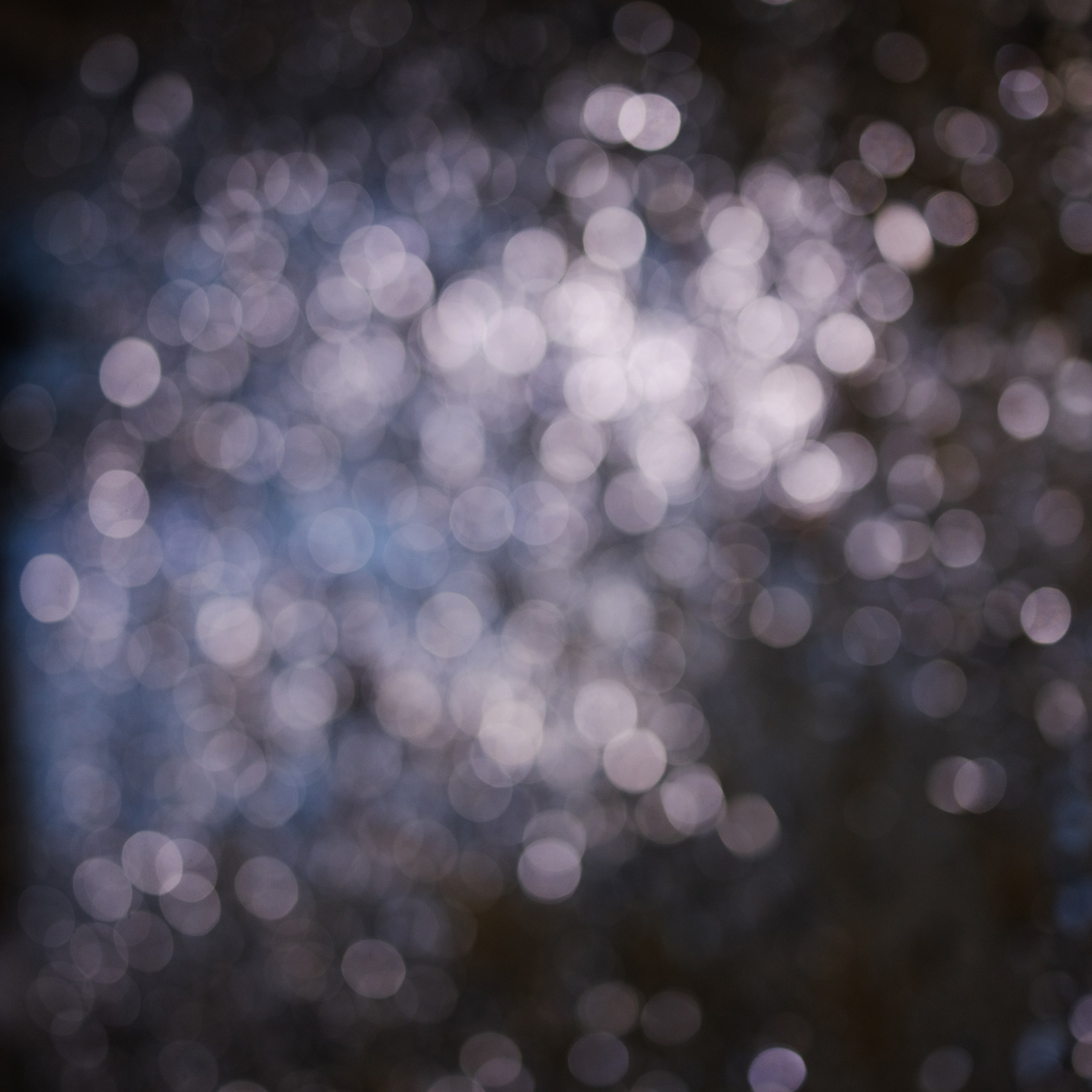 Николай и Ангелина. Свадебный фотограф Тверь, Москва и Санкт-Петербург