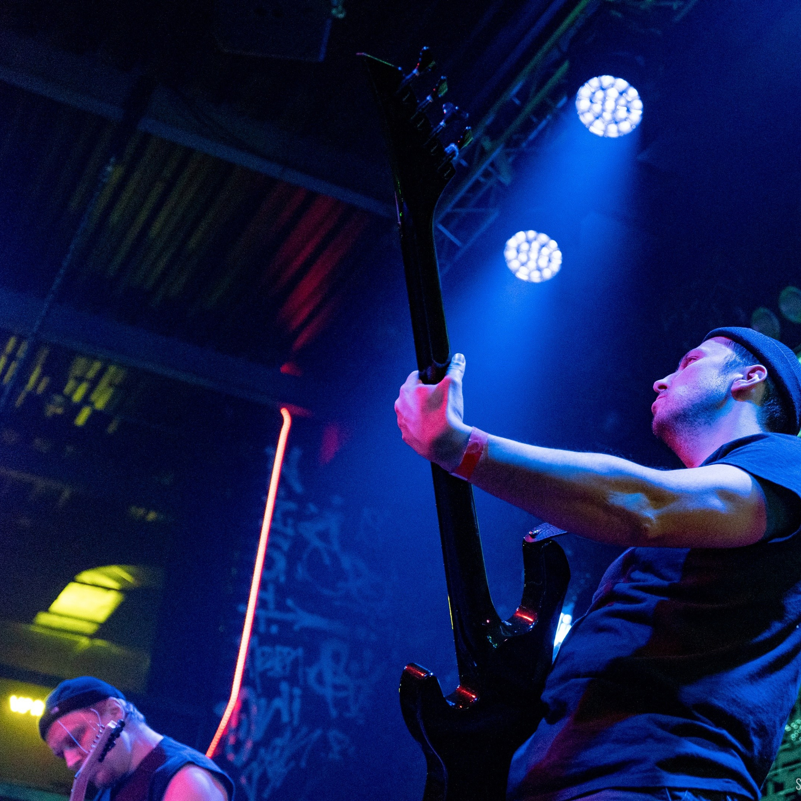 White Night / Black Forest в IZI 25.01.25