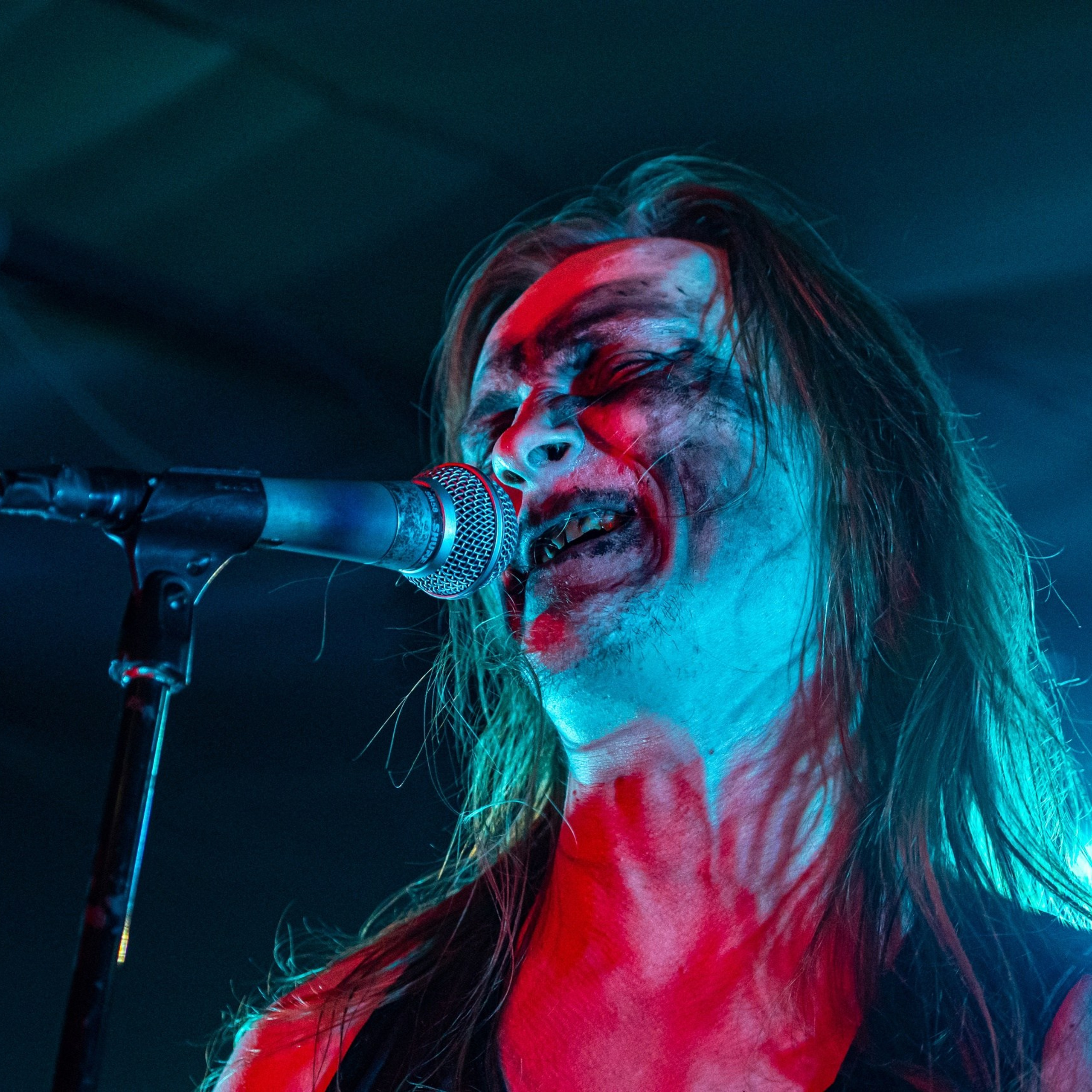 Волчьи Трупы в Городе 6.01.25