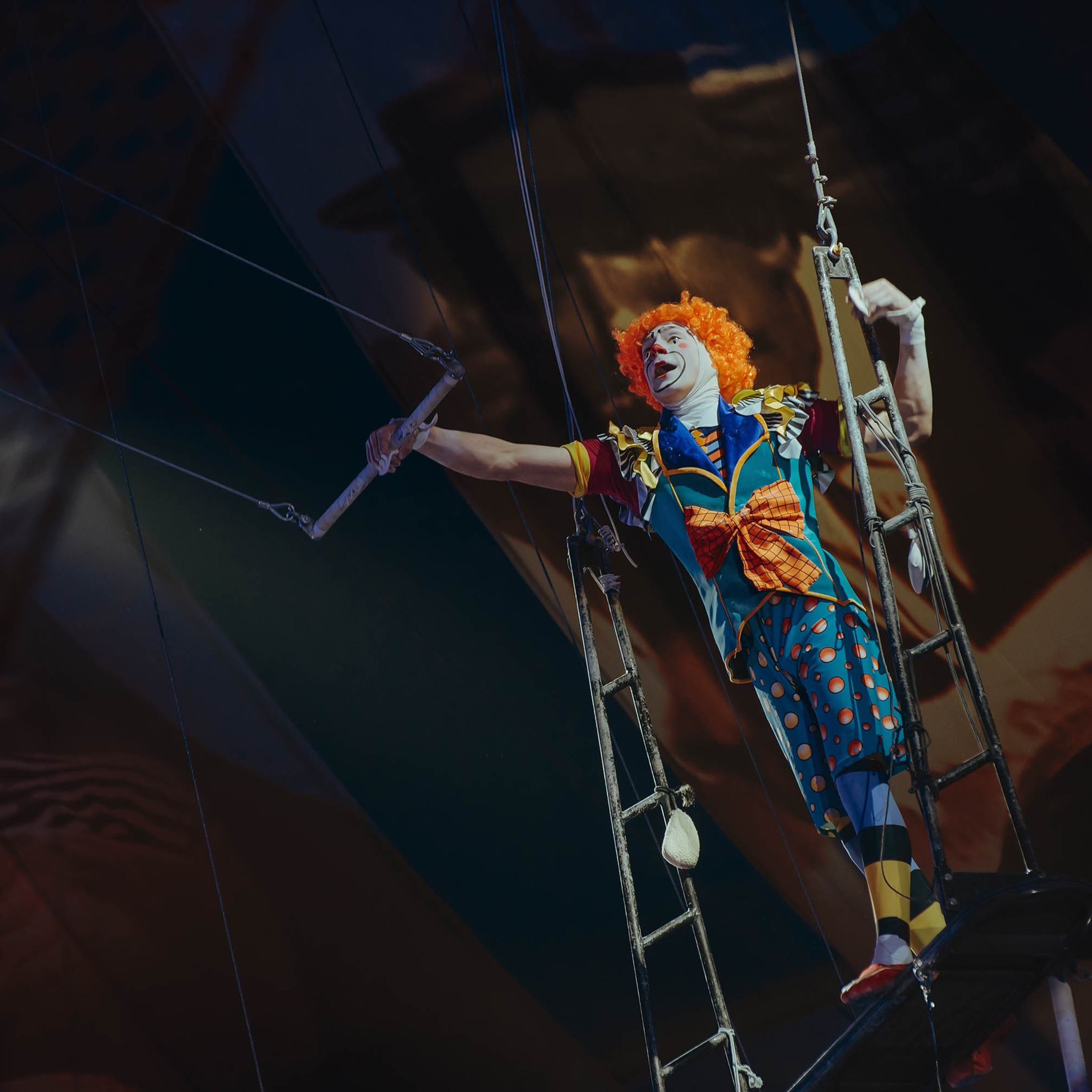 Цирк Никулина. Фотограф в Ростове-на-Дону
