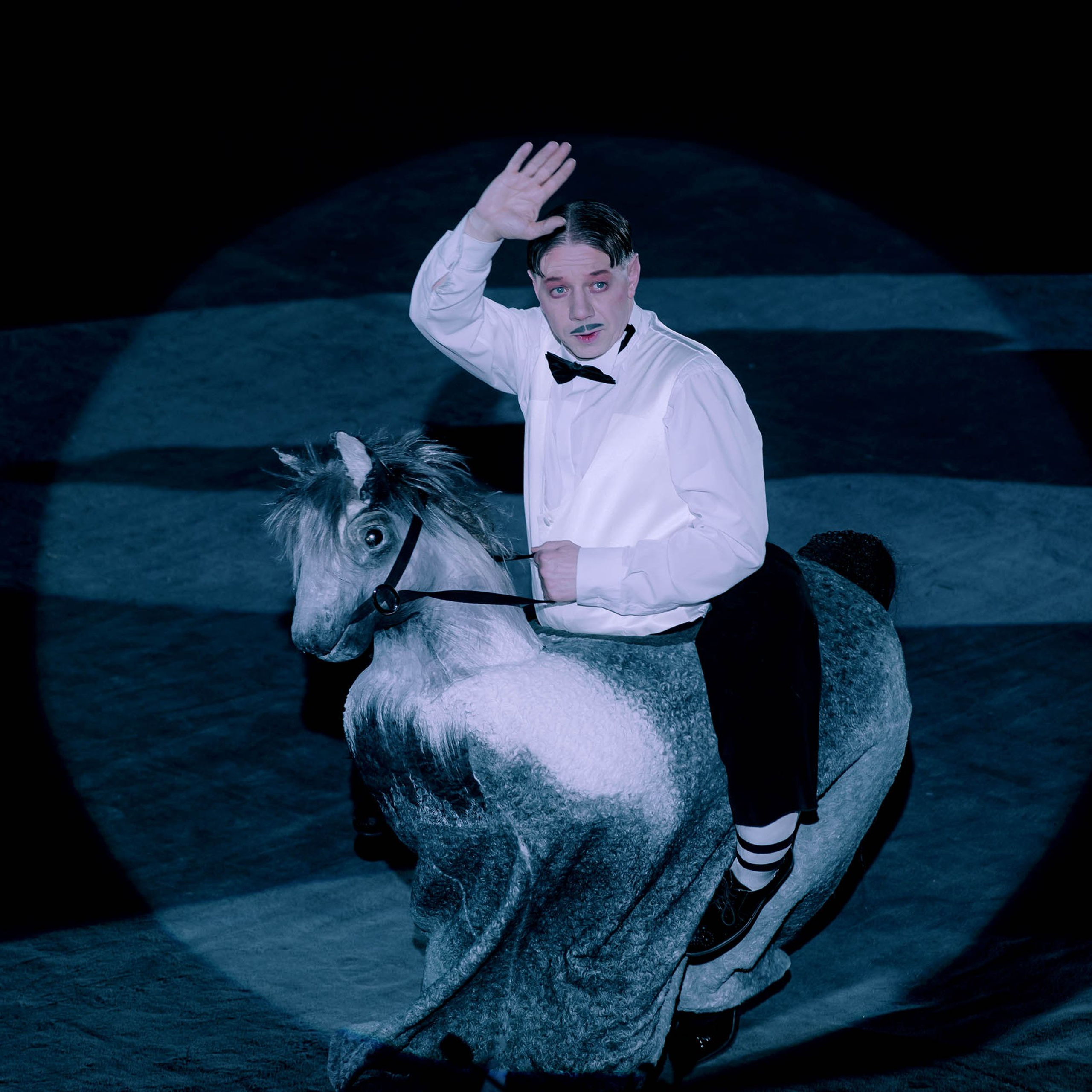 Цирк Никулина. Фотограф в Ростове-на-Дону